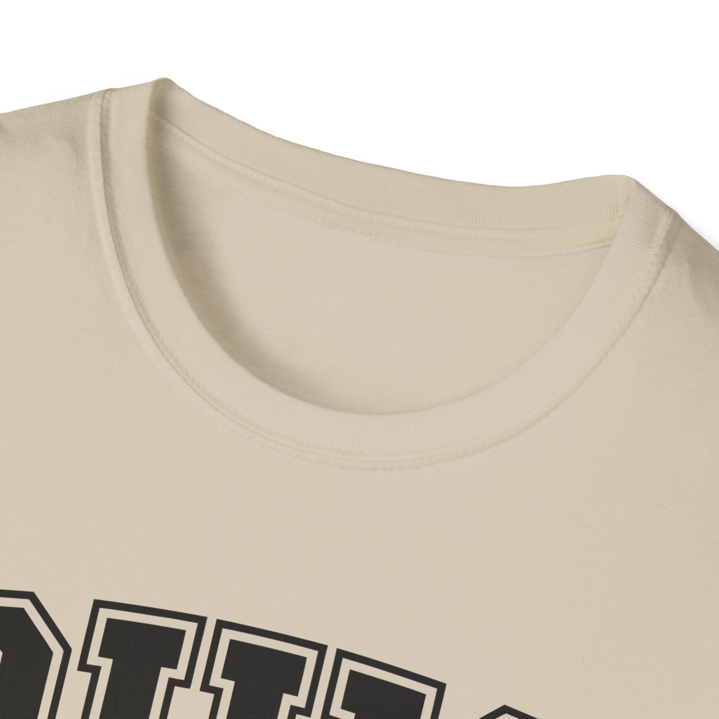 Vintage Ohio T-Shirt, Buckeye State Tee, Unisex Graphic Shirt, Ohio Pride Apparel, Gift for Ohioans