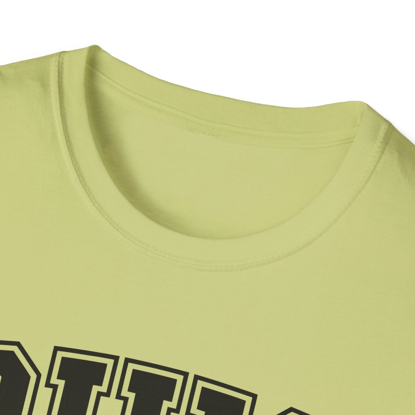 Vintage Ohio T-Shirt, Buckeye State Tee, Unisex Graphic Shirt, Ohio Pride Apparel, Gift for Ohioans