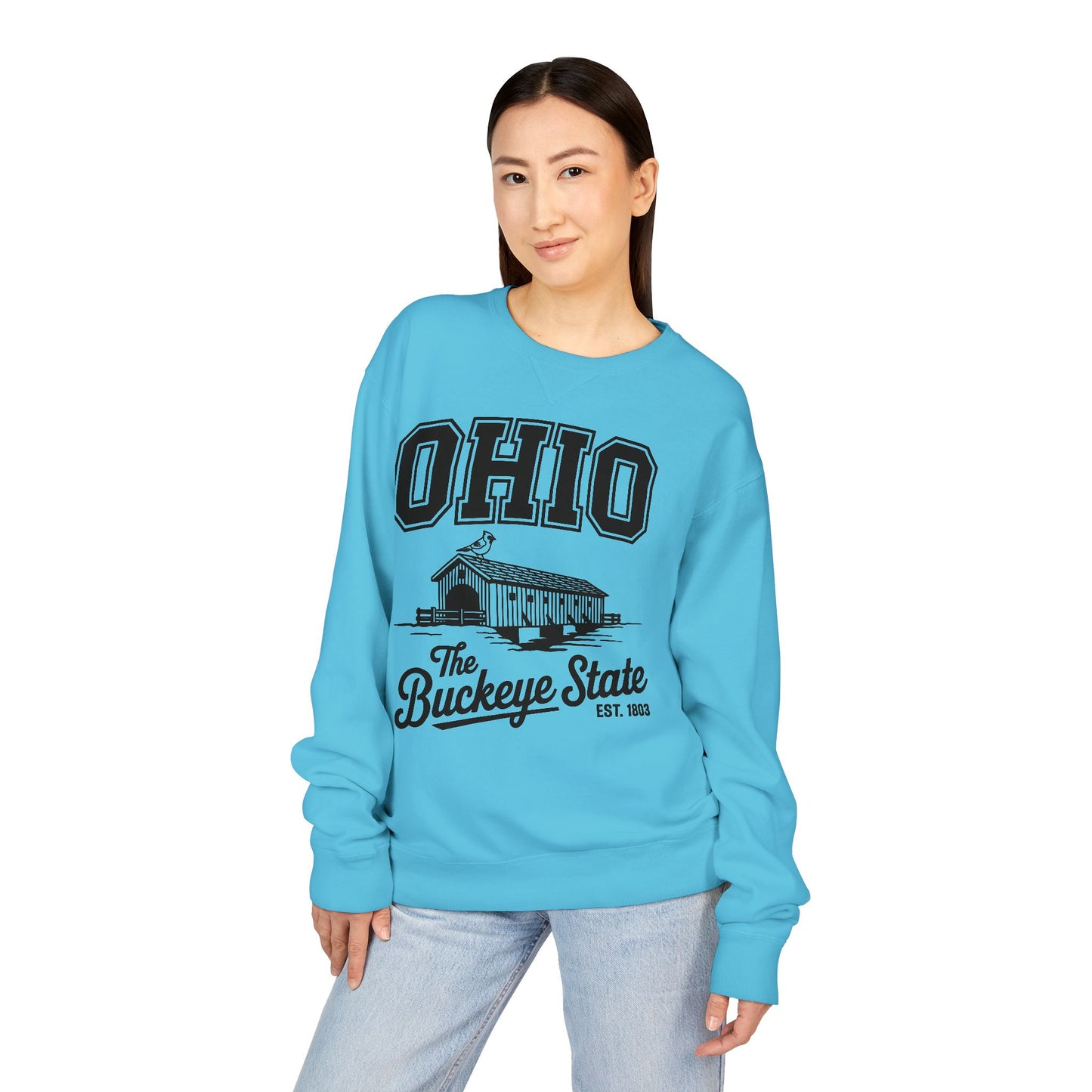 Ohio Buckeye State Vintage Sweatshirt, Unisex Crewneck for Casual Wear, Perfect Gift for Ohio Lovers, Ohio State Pride, Cozy Fall Apparel