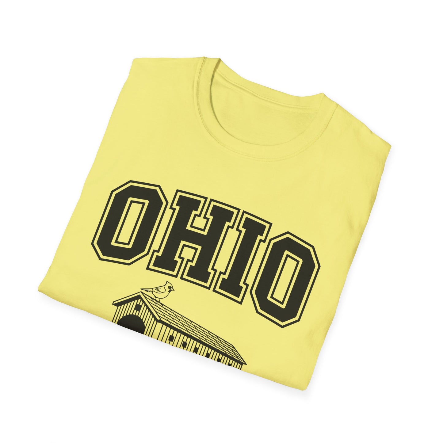 Vintage Ohio T-Shirt, Buckeye State Tee, Unisex Graphic Shirt, Ohio Pride Apparel, Gift for Ohioans