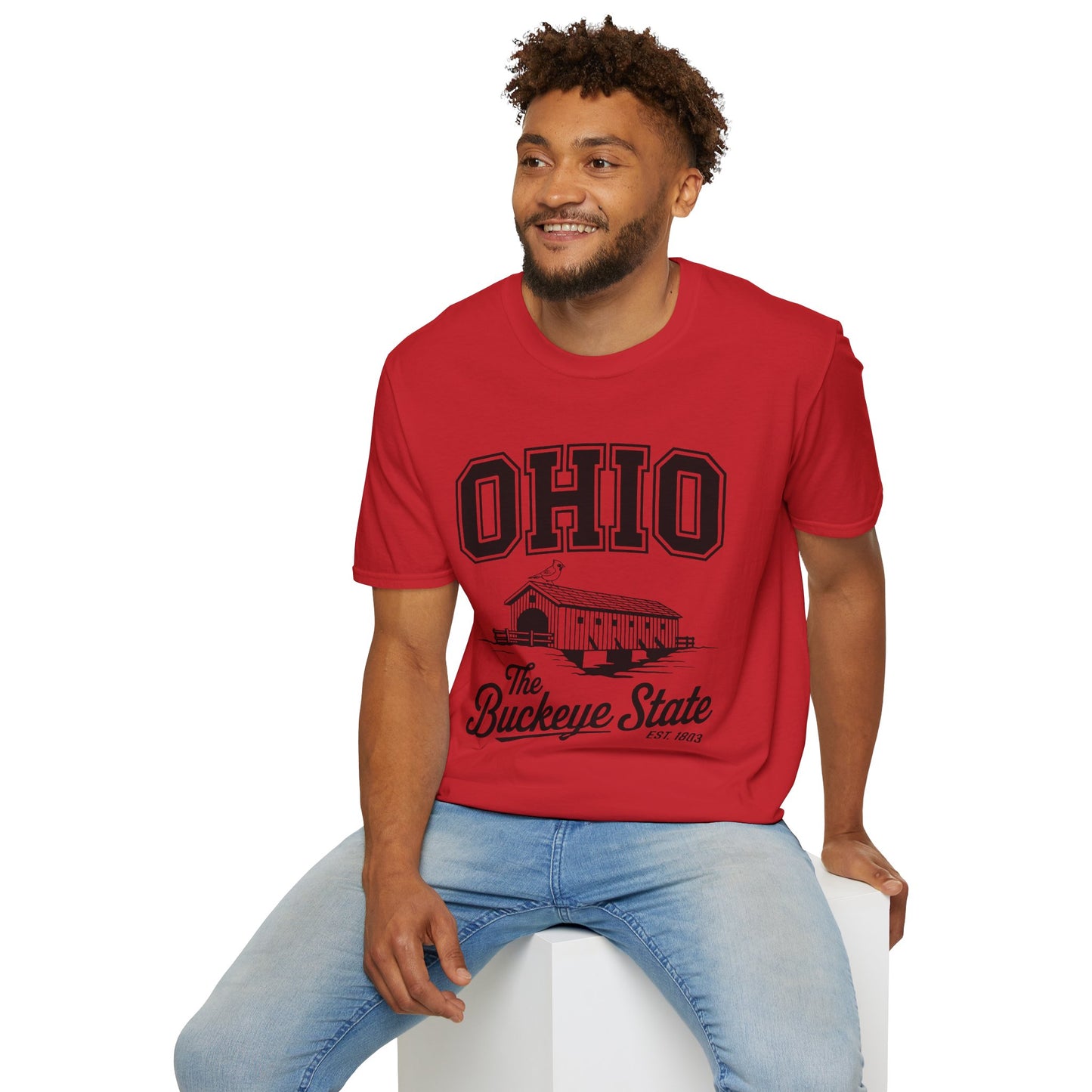 Vintage Ohio T-Shirt, Buckeye State Tee, Unisex Graphic Shirt, Ohio Pride Apparel, Gift for Ohioans
