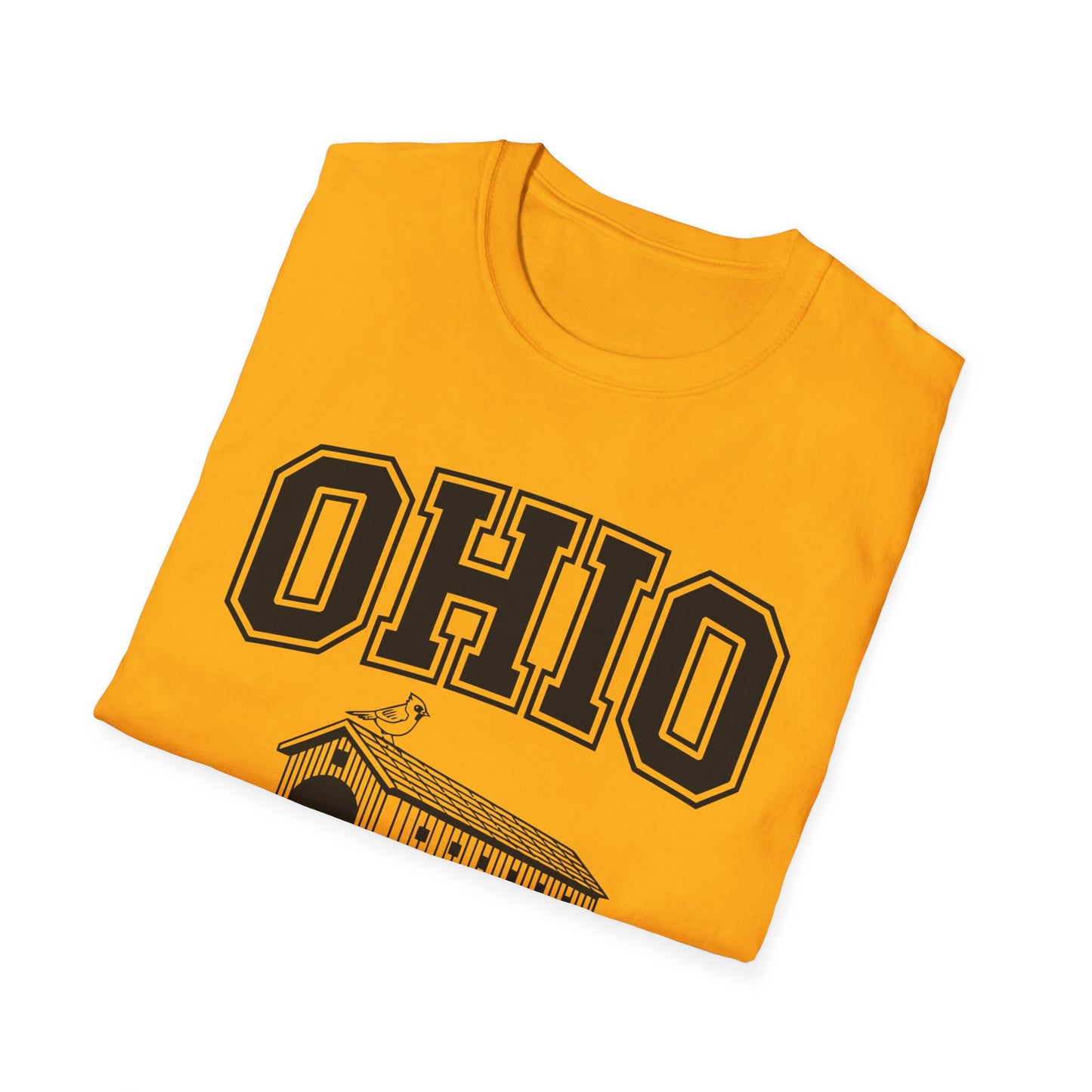 Vintage Ohio T-Shirt, Buckeye State Tee, Unisex Graphic Shirt, Ohio Pride Apparel, Gift for Ohioans