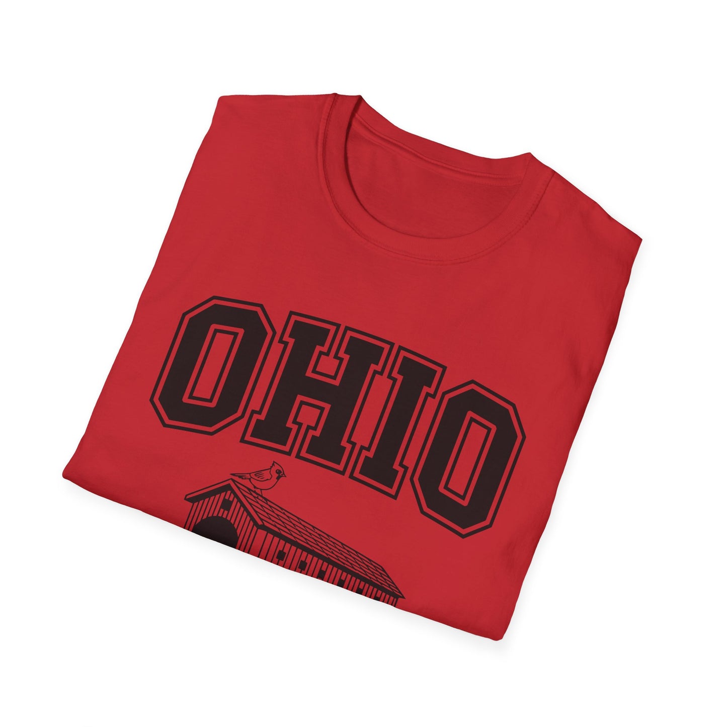 Vintage Ohio T-Shirt, Buckeye State Tee, Unisex Graphic Shirt, Ohio Pride Apparel, Gift for Ohioans