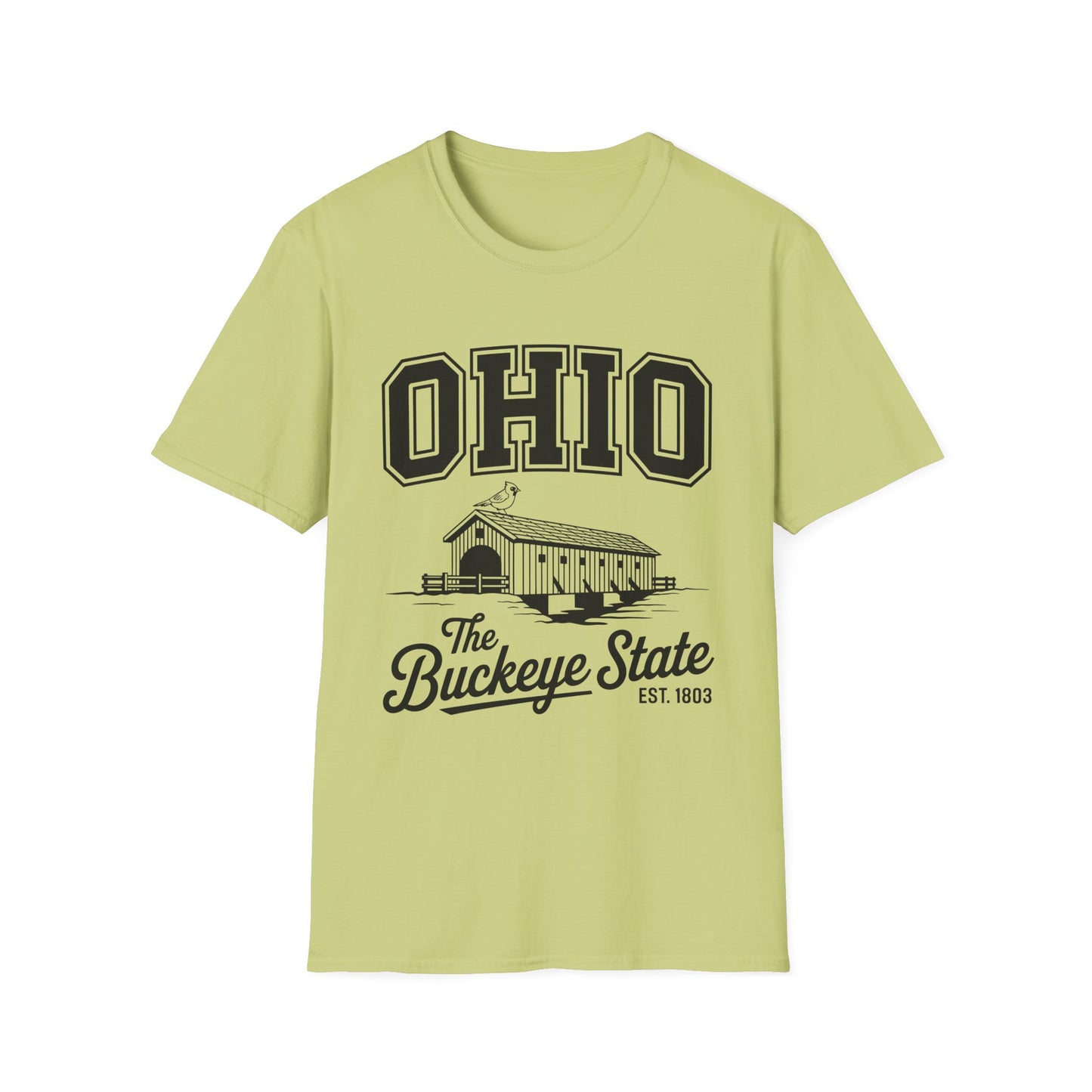 Vintage Ohio T-Shirt, Buckeye State Tee, Unisex Graphic Shirt, Ohio Pride Apparel, Gift for Ohioans