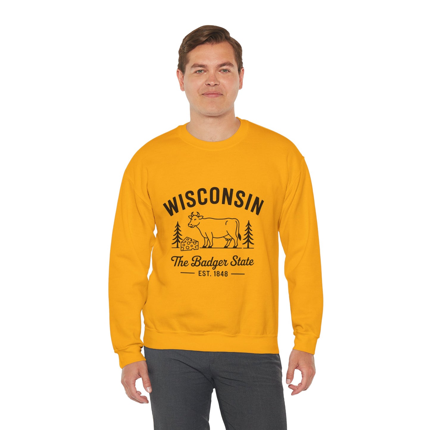 Wisconsin Badger State Sweatshirt, Unisex Crewneck, Cozy Gift for State Pride, Travel Souvenir, Homewear