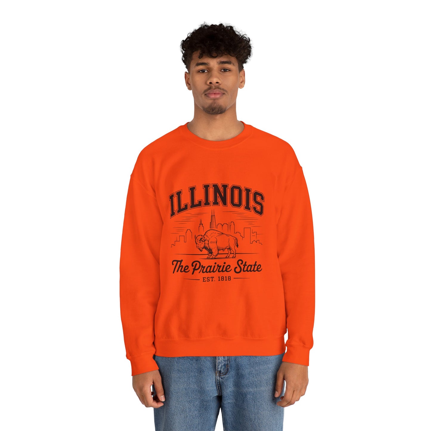 Illinois Crewneck Sweatshirt, Cozy Unisex Apparel, Prairie State Fashion, Gift for Illinois Lovers, Casual Everyday Wear