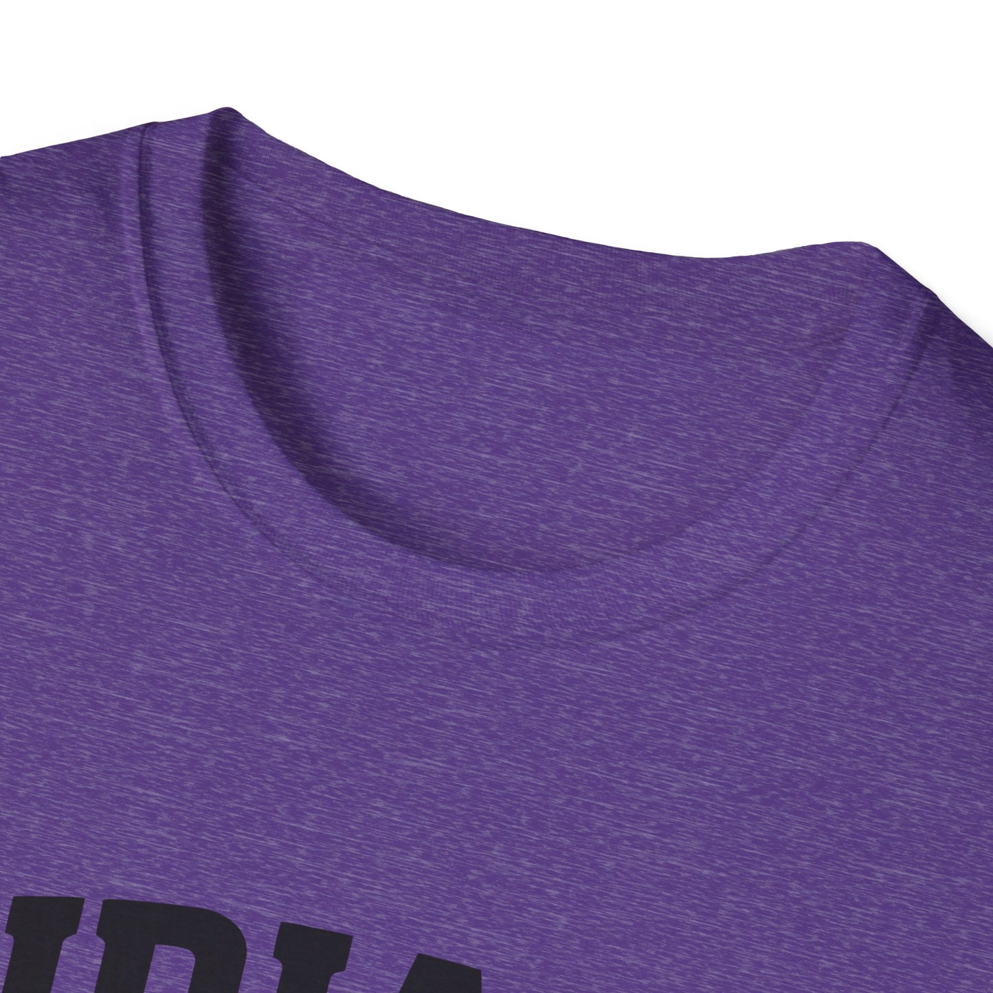Indiana Hoosier State T-Shirt, Unisex Graphic Tee, Soft Cotton Shirt for Indiana Fans, Vintage Style Apparel, Great for Gifts