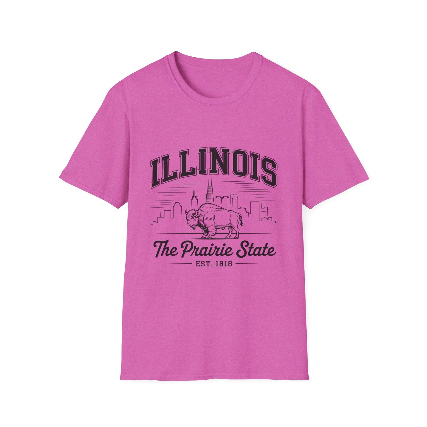 Illinois Prairie State Unisex Softstyle T-Shirt, Casual Tee, Illinois Gift, Home State Pride, Travel Souvenir, Festival Wear