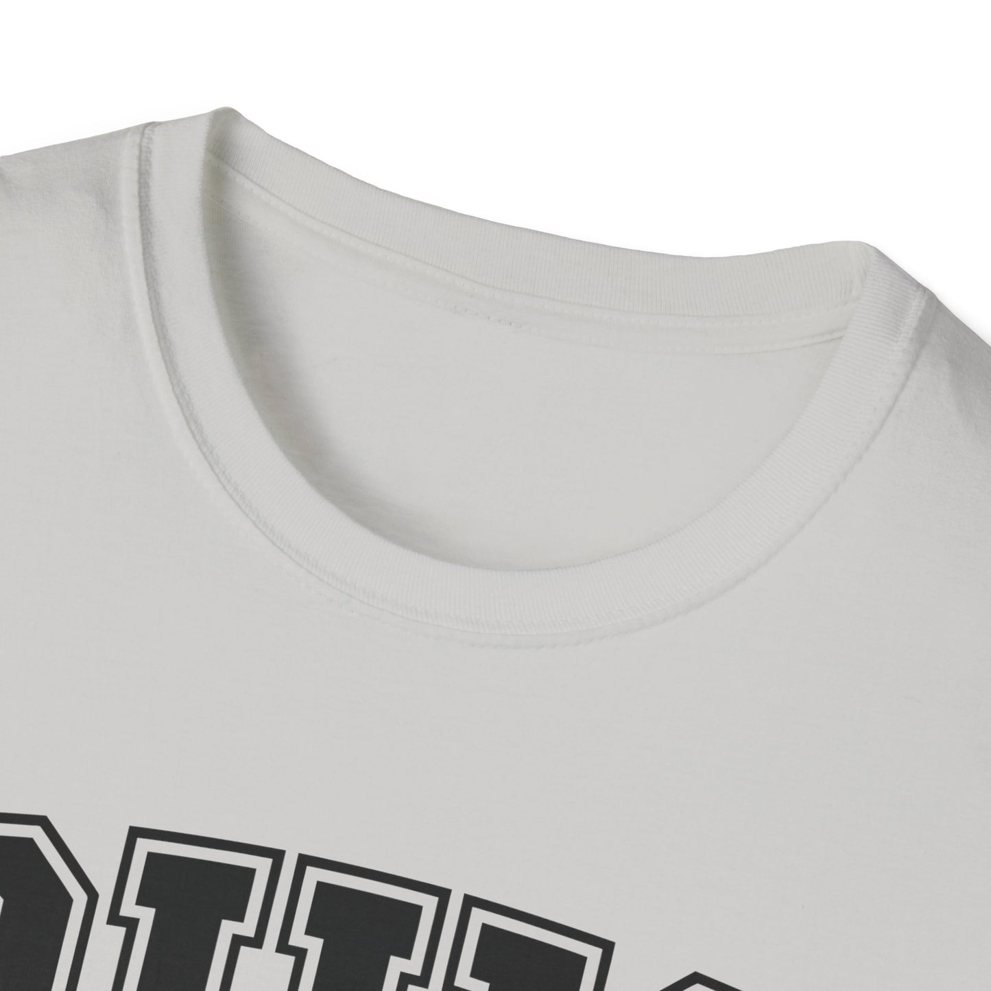 Vintage Ohio T-Shirt, Buckeye State Tee, Unisex Graphic Shirt, Ohio Pride Apparel, Gift for Ohioans