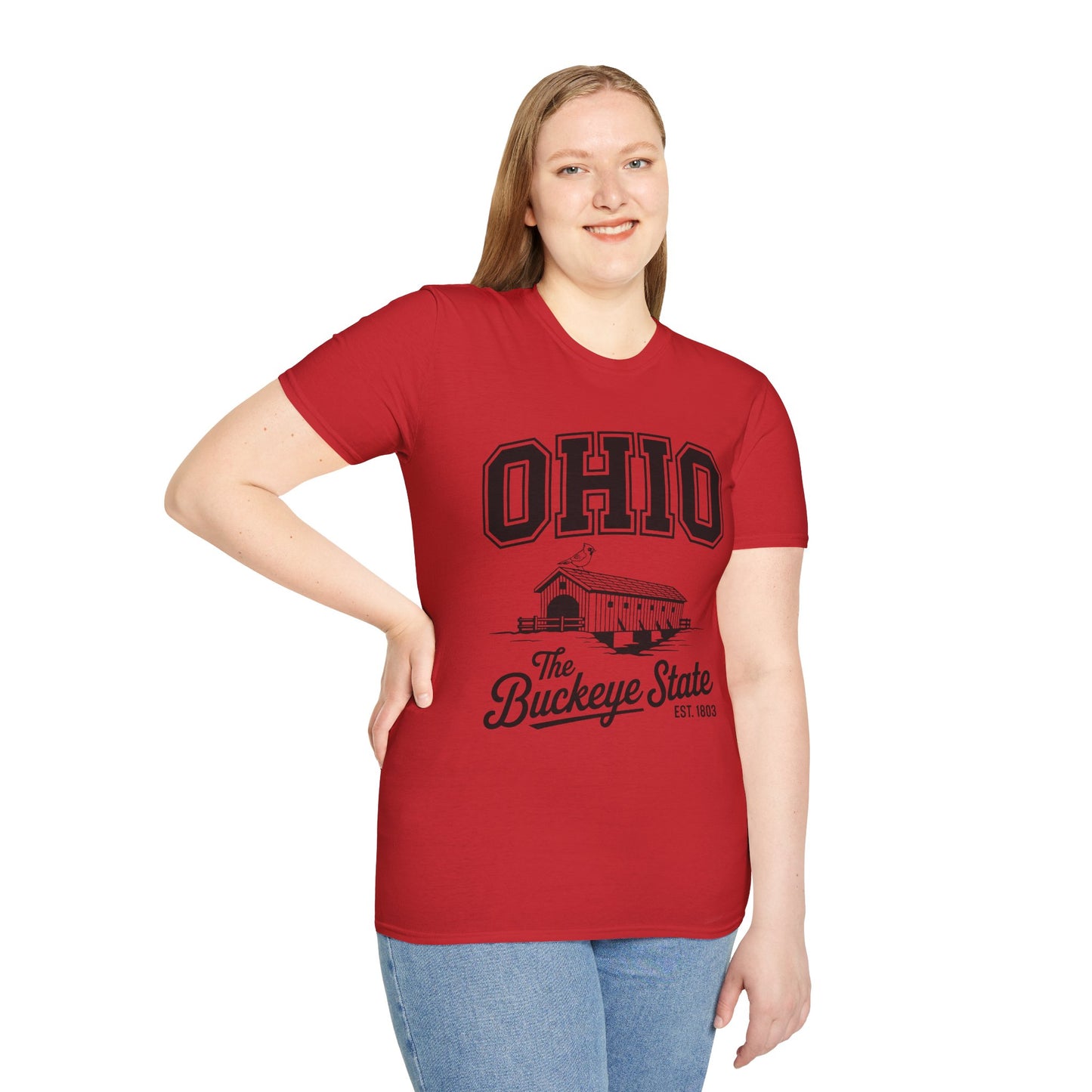 Vintage Ohio T-Shirt, Buckeye State Tee, Unisex Graphic Shirt, Ohio Pride Apparel, Gift for Ohioans