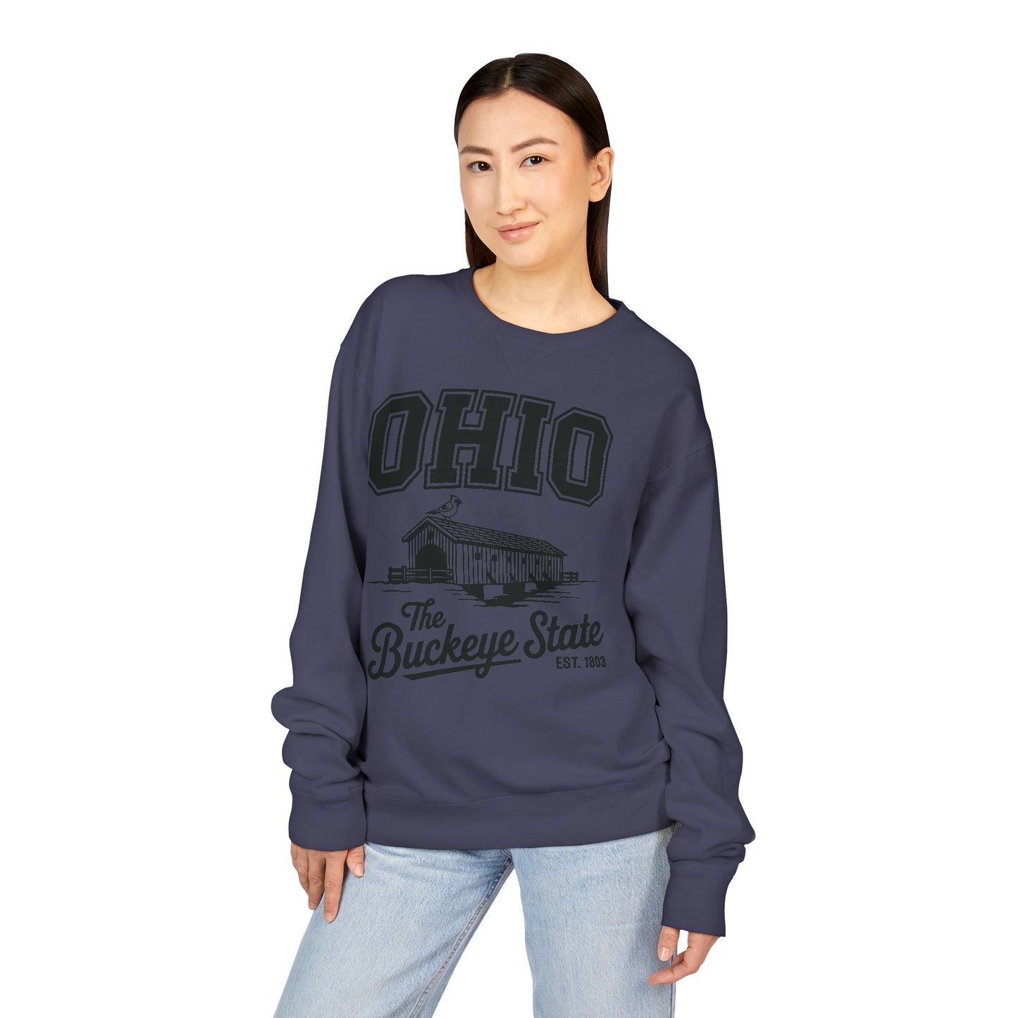Ohio Buckeye State Vintage Sweatshirt, Unisex Crewneck for Casual Wear, Perfect Gift for Ohio Lovers, Ohio State Pride, Cozy Fall Apparel