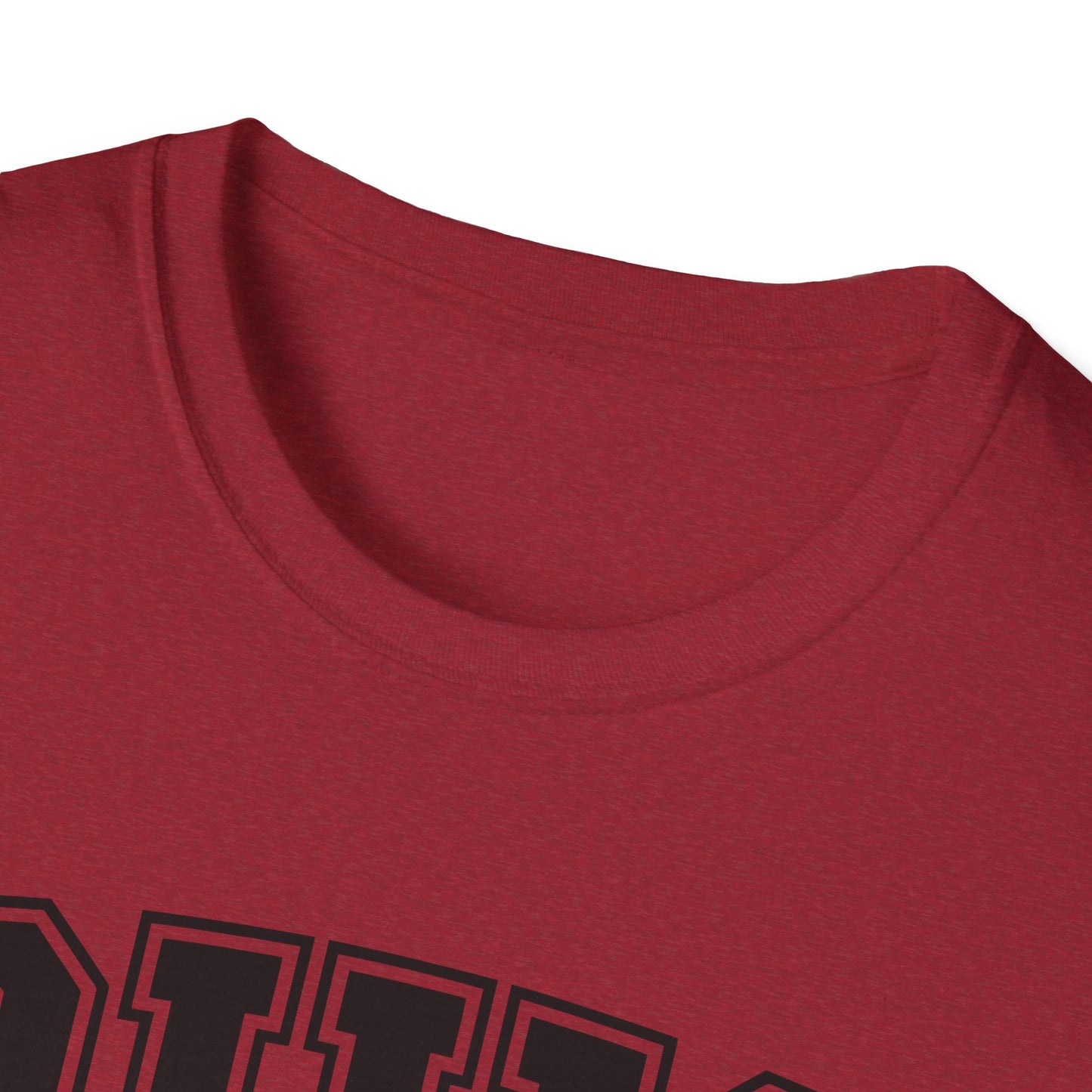 Vintage Ohio T-Shirt, Buckeye State Tee, Unisex Graphic Shirt, Ohio Pride Apparel, Gift for Ohioans