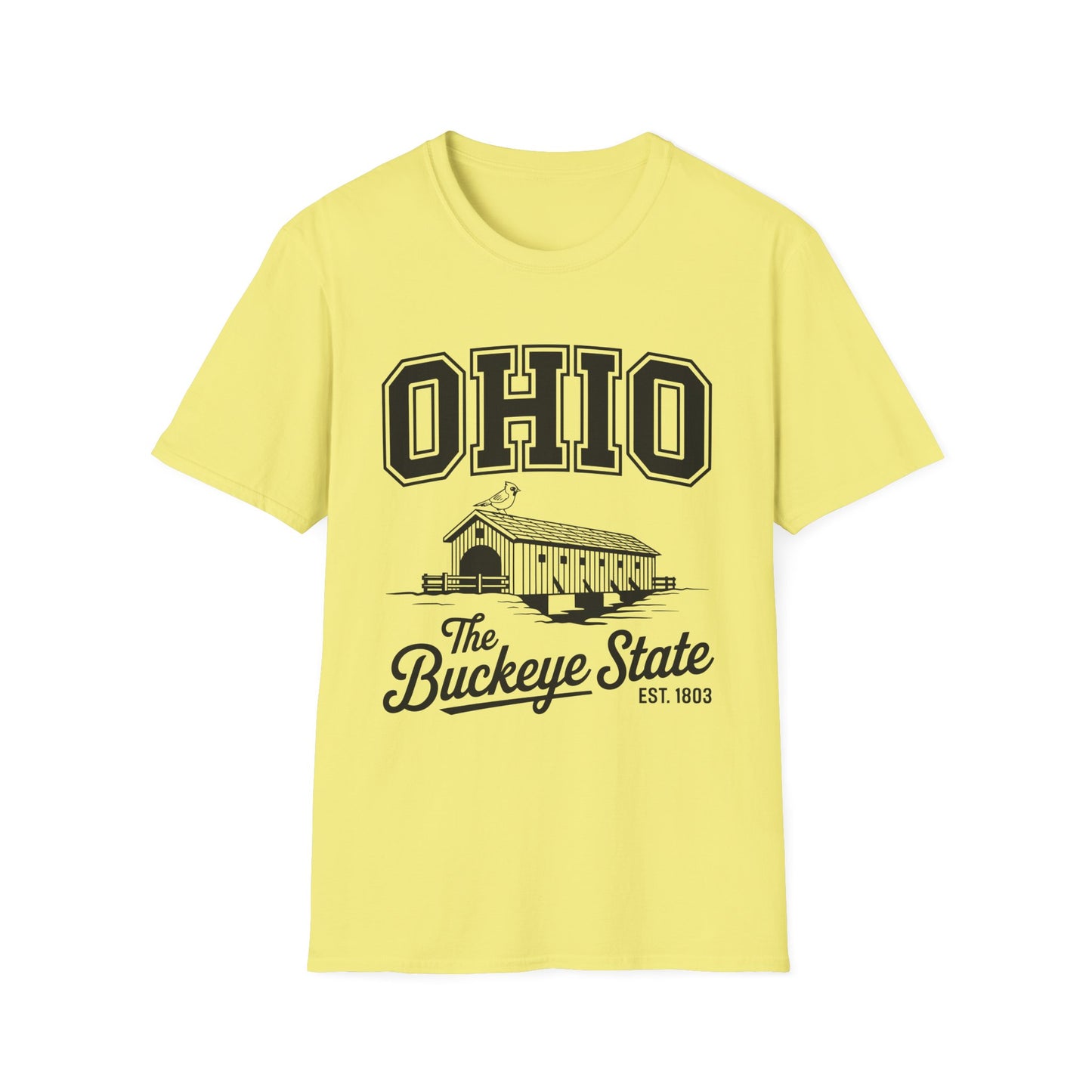 Vintage Ohio T-Shirt, Buckeye State Tee, Unisex Graphic Shirt, Ohio Pride Apparel, Gift for Ohioans