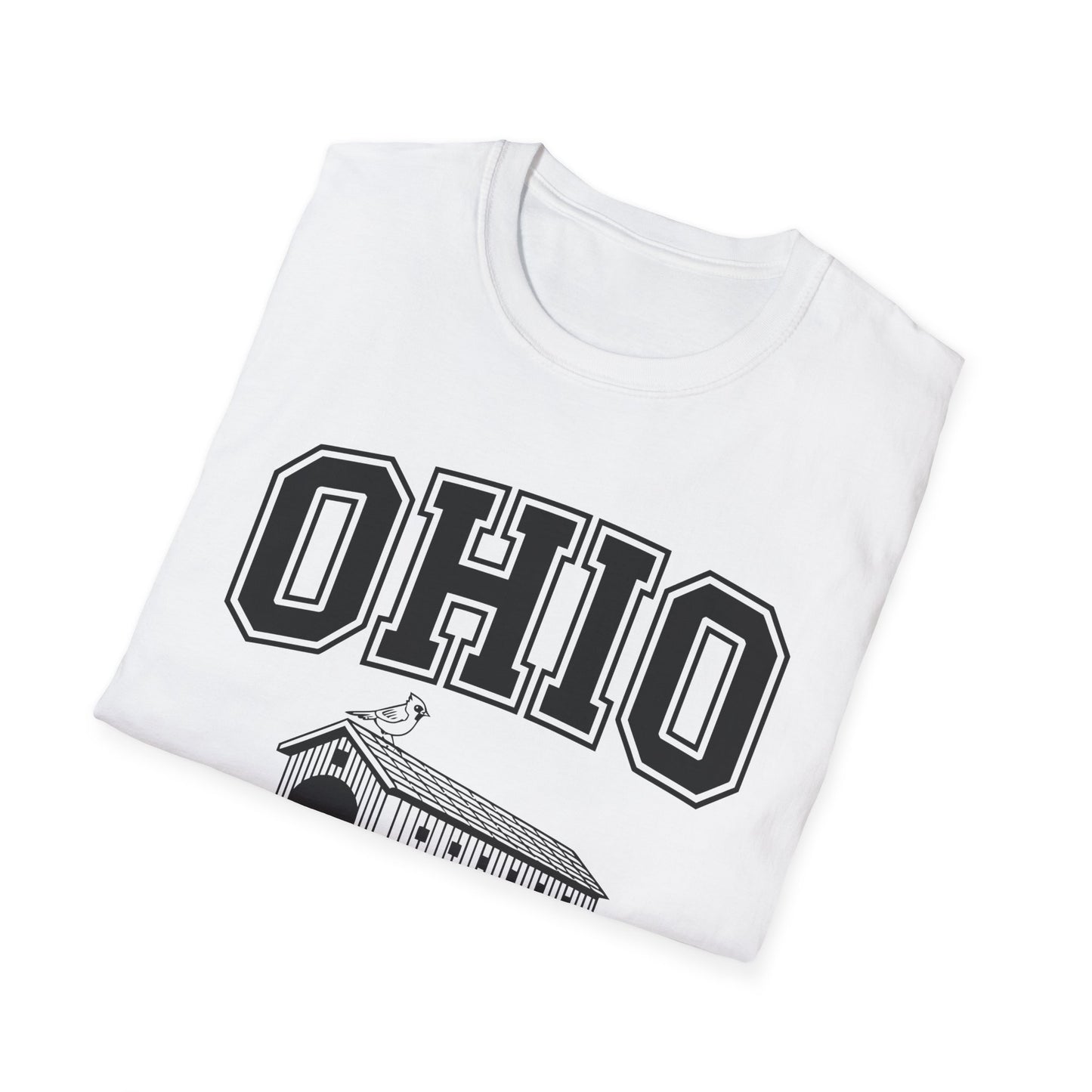 Vintage Ohio T-Shirt, Buckeye State Tee, Unisex Graphic Shirt, Ohio Pride Apparel, Gift for Ohioans