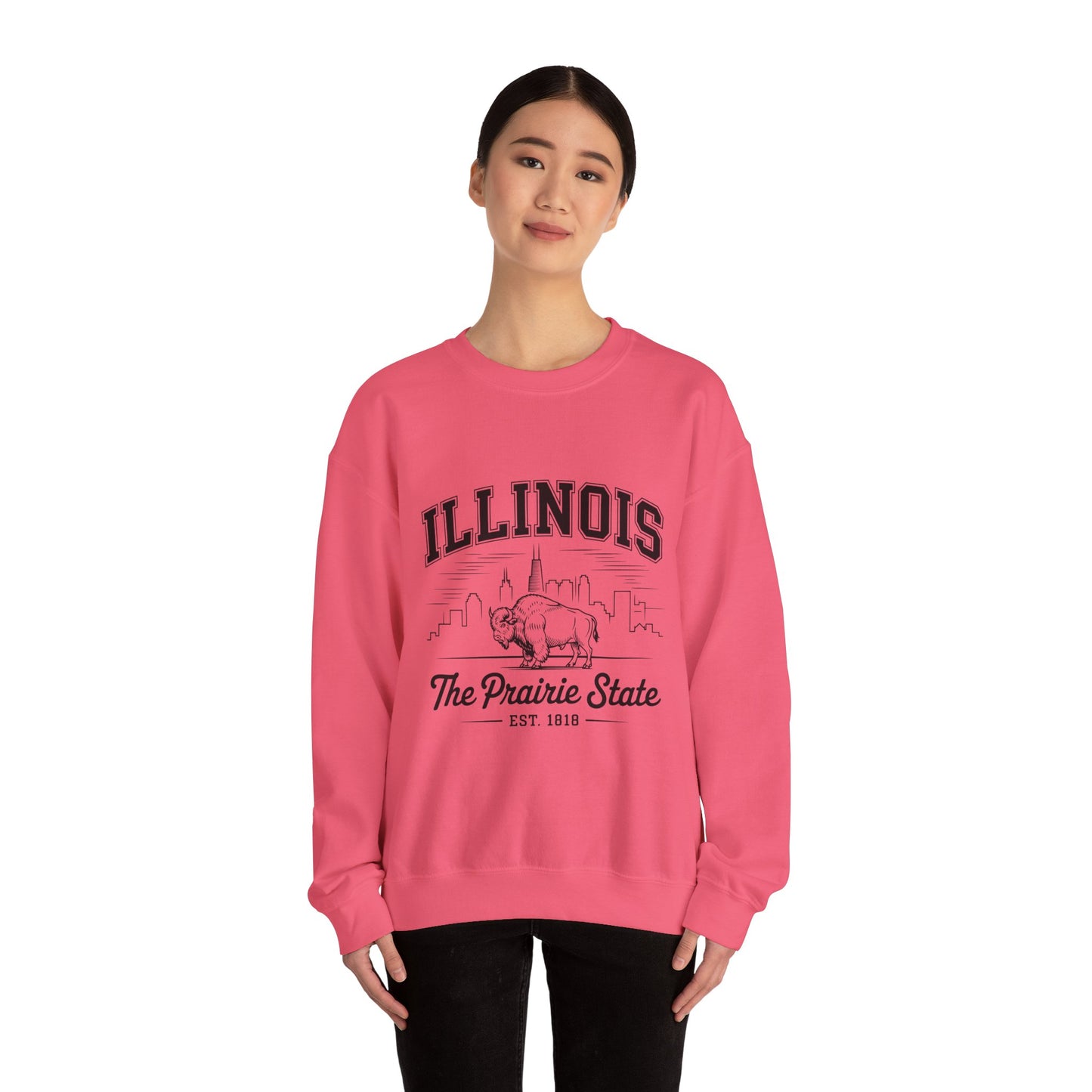 Illinois Crewneck Sweatshirt, Cozy Unisex Apparel, Prairie State Fashion, Gift for Illinois Lovers, Casual Everyday Wear