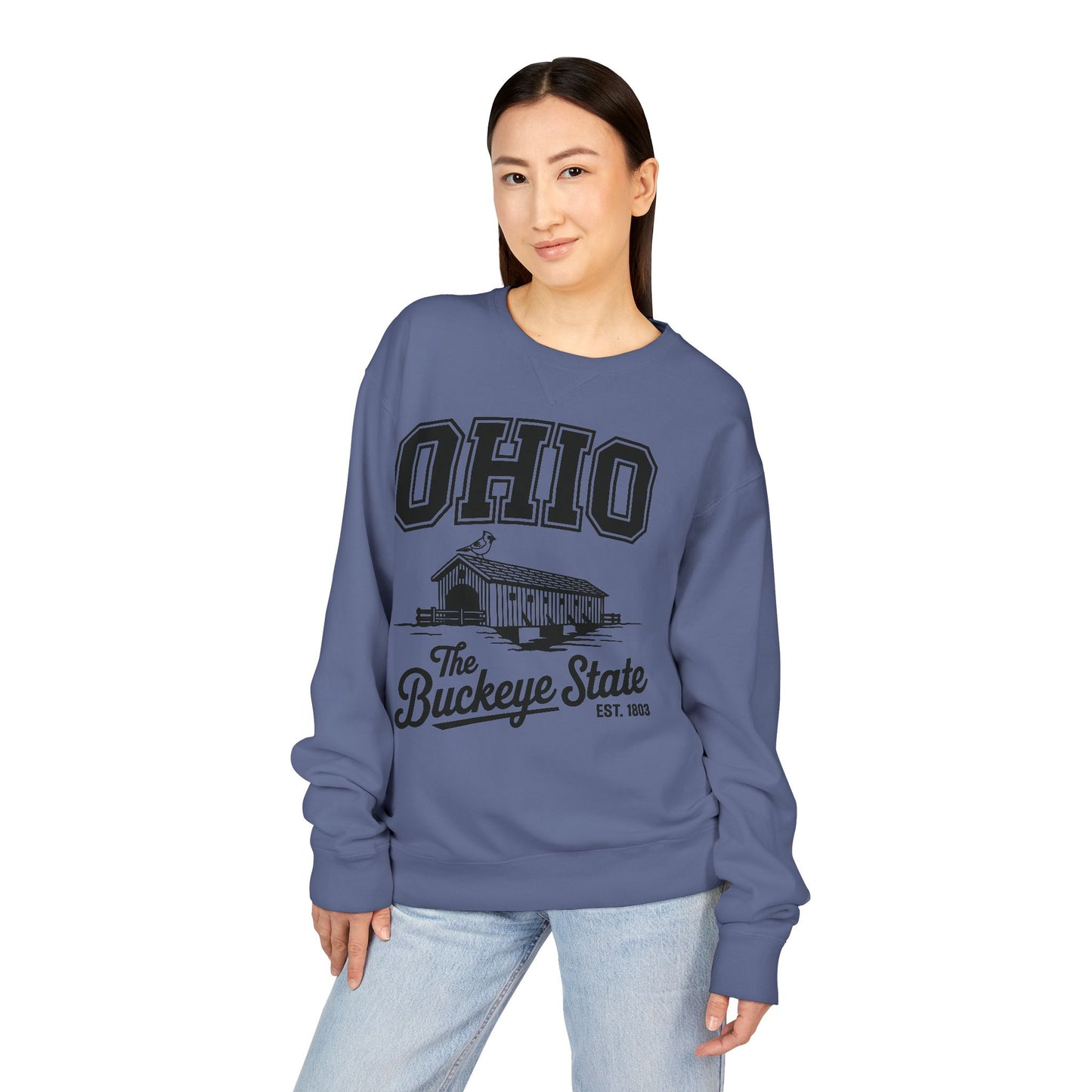 Ohio Buckeye State Vintage Sweatshirt, Unisex Crewneck for Casual Wear, Perfect Gift for Ohio Lovers, Ohio State Pride, Cozy Fall Apparel