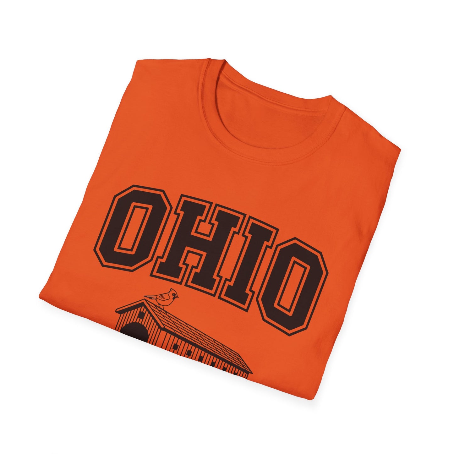 Vintage Ohio T-Shirt, Buckeye State Tee, Unisex Graphic Shirt, Ohio Pride Apparel, Gift for Ohioans