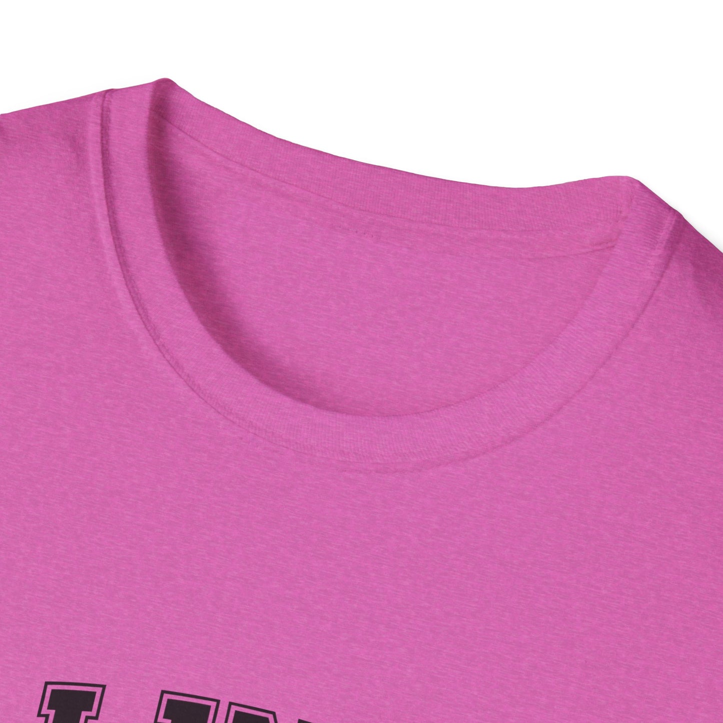 Illinois Prairie State Unisex Softstyle T-Shirt, Casual Tee, Illinois Gift, Home State Pride, Travel Souvenir, Festival Wear