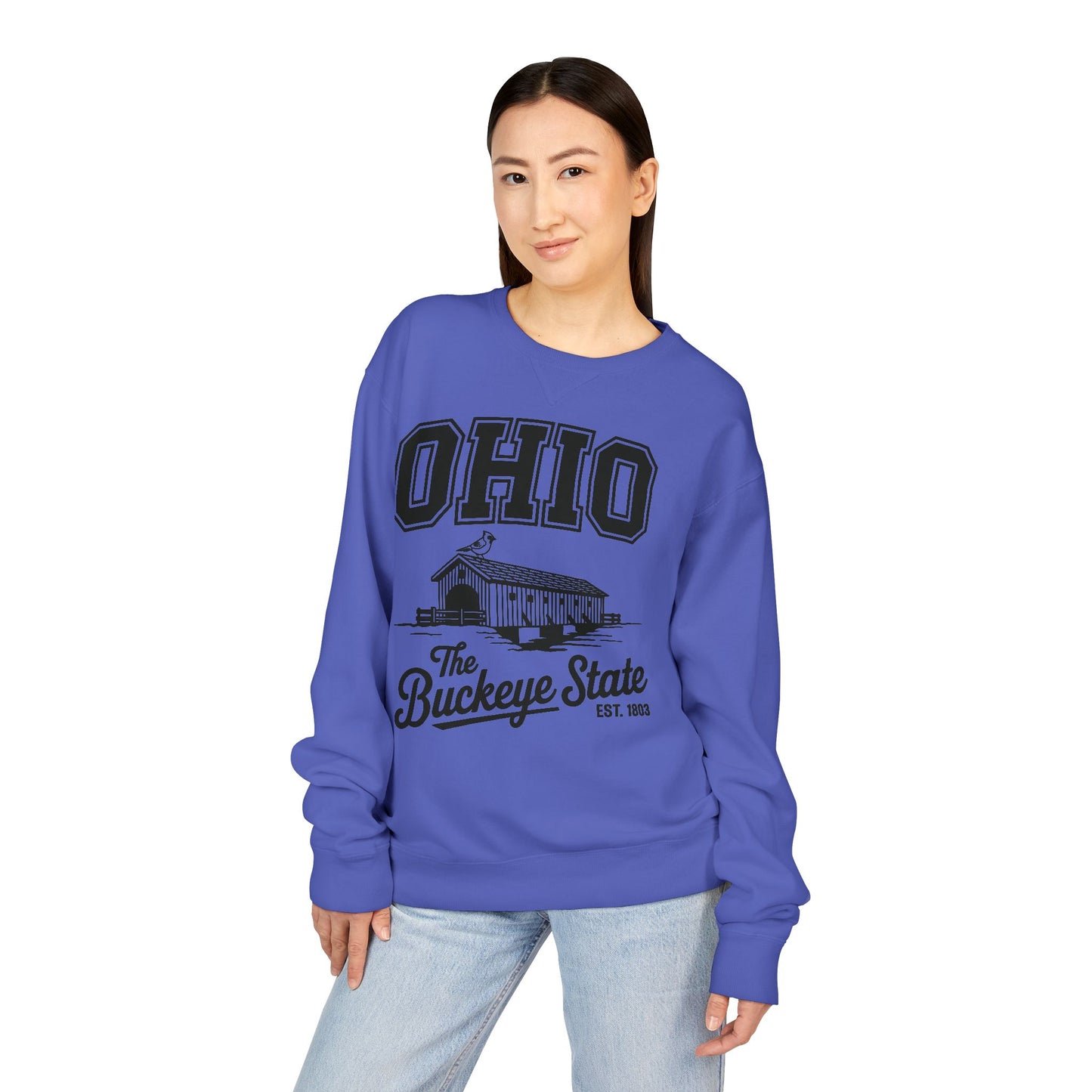 Ohio Buckeye State Vintage Sweatshirt, Unisex Crewneck for Casual Wear, Perfect Gift for Ohio Lovers, Ohio State Pride, Cozy Fall Apparel