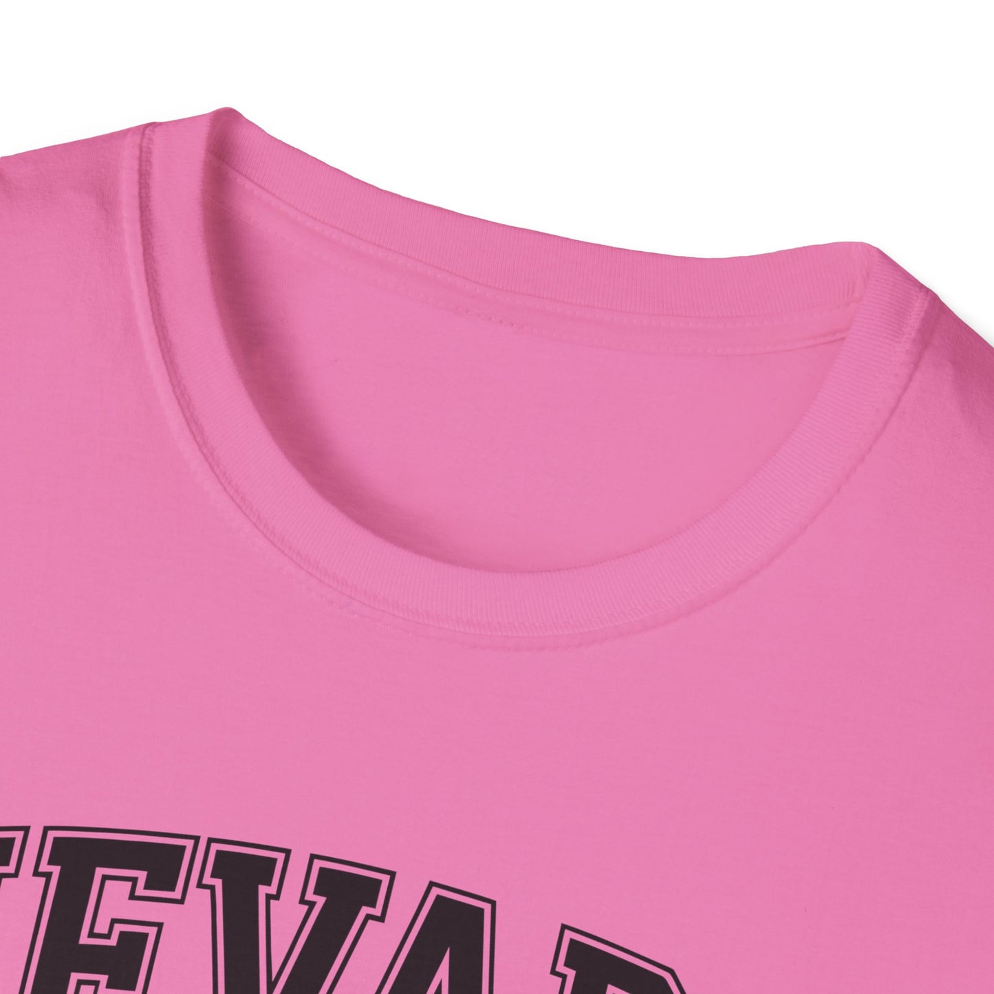 Nevada Vintage Graphic T-Shirt, Unisex Cool Tee, Casual Wear, Travel Souvenir, Gift for Nevada Lovers, Summer Style