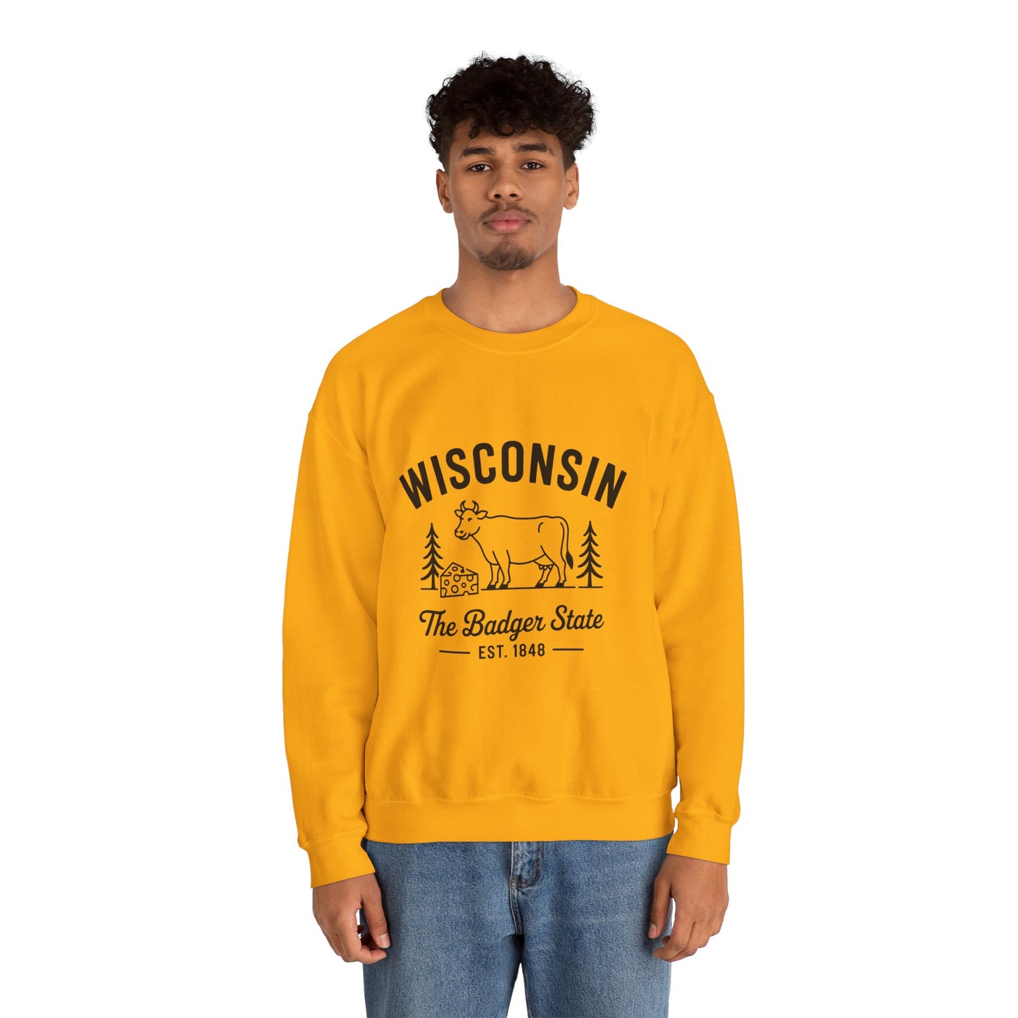 Wisconsin Badger State Sweatshirt, Unisex Crewneck, Cozy Gift for State Pride, Travel Souvenir, Homewear