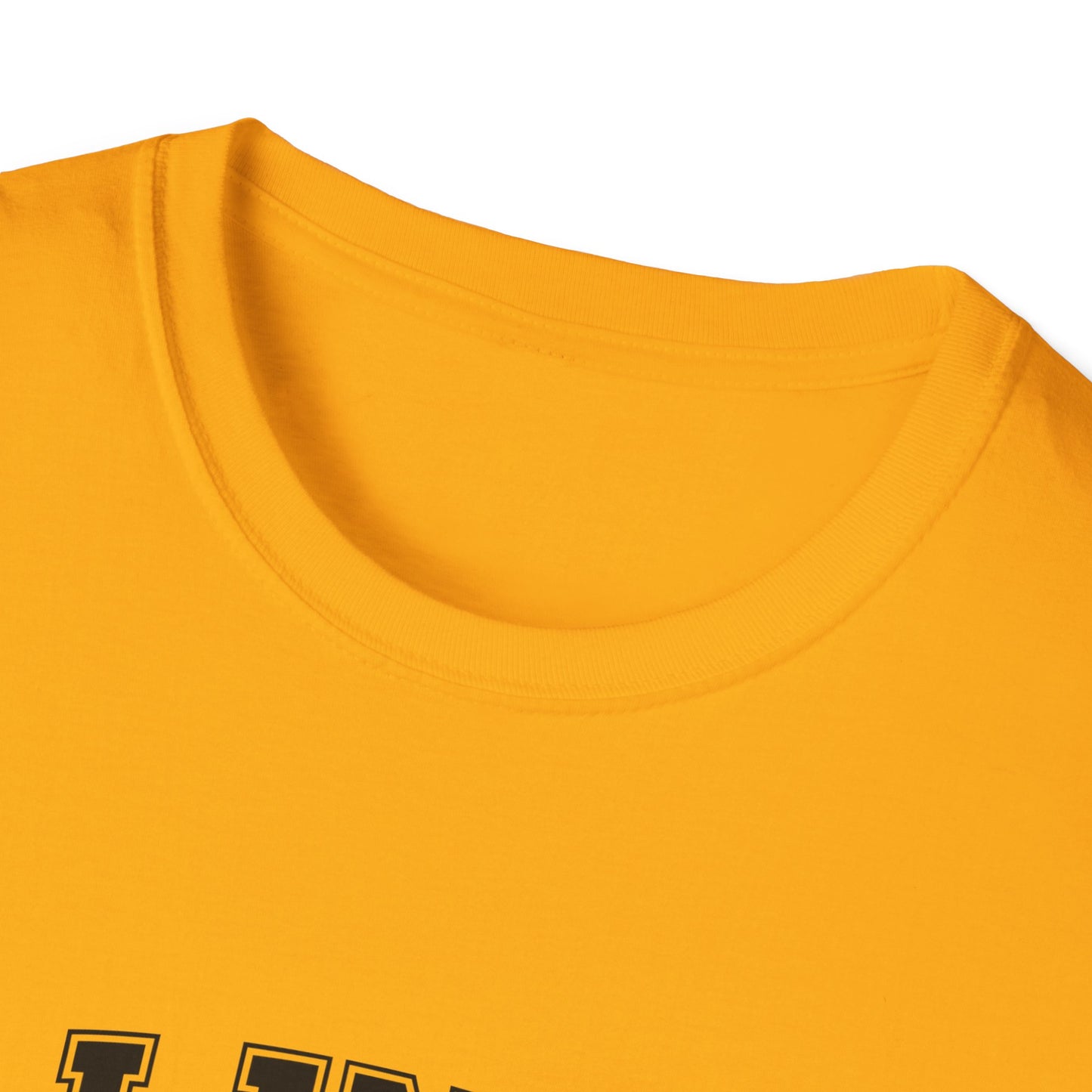 Illinois Prairie State Unisex Softstyle T-Shirt, Casual Tee, Illinois Gift, Home State Pride, Travel Souvenir, Festival Wear