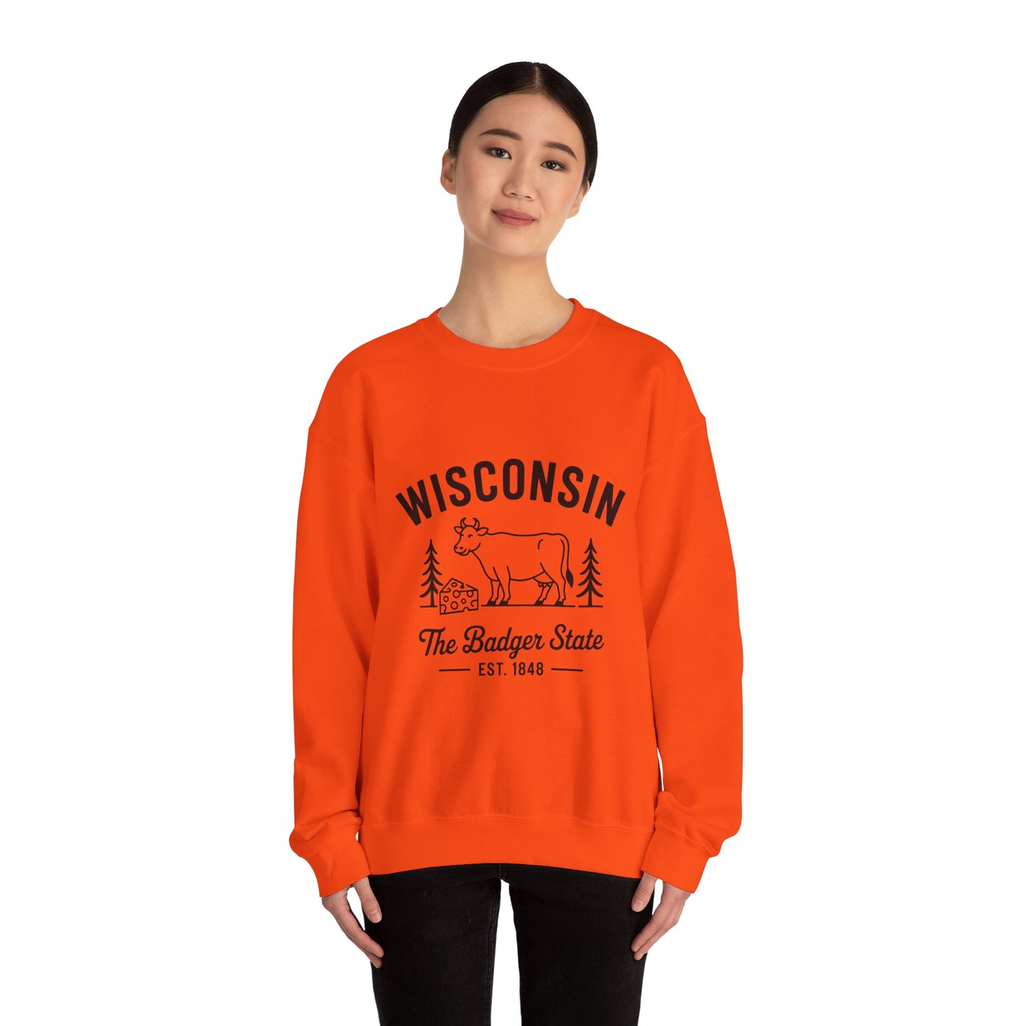 Wisconsin Badger State Sweatshirt, Unisex Crewneck, Cozy Gift for State Pride, Travel Souvenir, Homewear