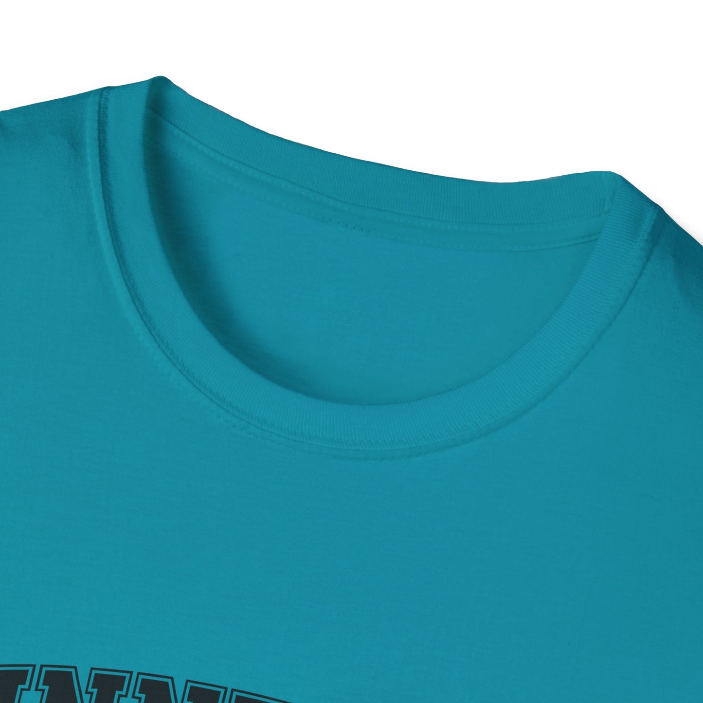 Minnesota Vintage Lake T-Shirt, Softstyle Tee, Cool Gift for Outdoor Lovers, Summer Apparel, Nature Enthusiast Wear