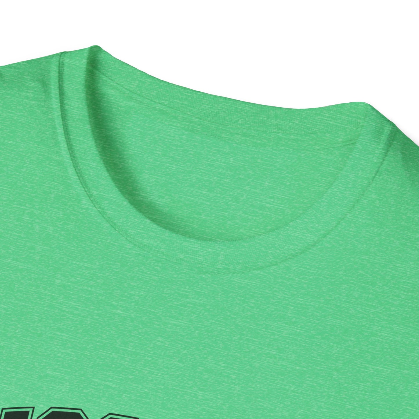 Missouri The Show-Me State T-Shirt, Unisex Softstyle Tee, Missouri Pride Shirt, Gift for Locals, Casual Wear, Travel Souvenir