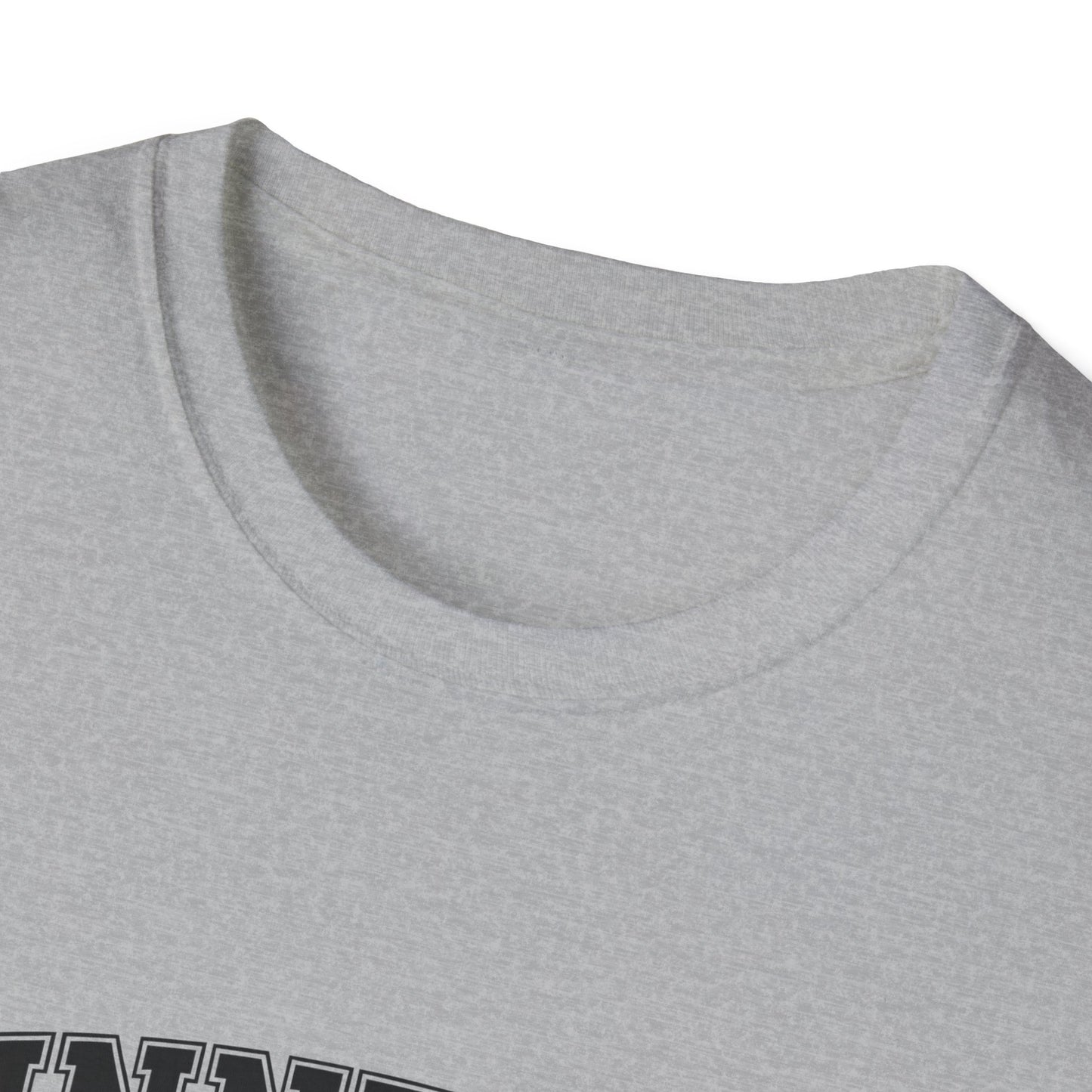 Minnesota Vintage Lake T-Shirt, Softstyle Tee, Cool Gift for Outdoor Lovers, Summer Apparel, Nature Enthusiast Wear