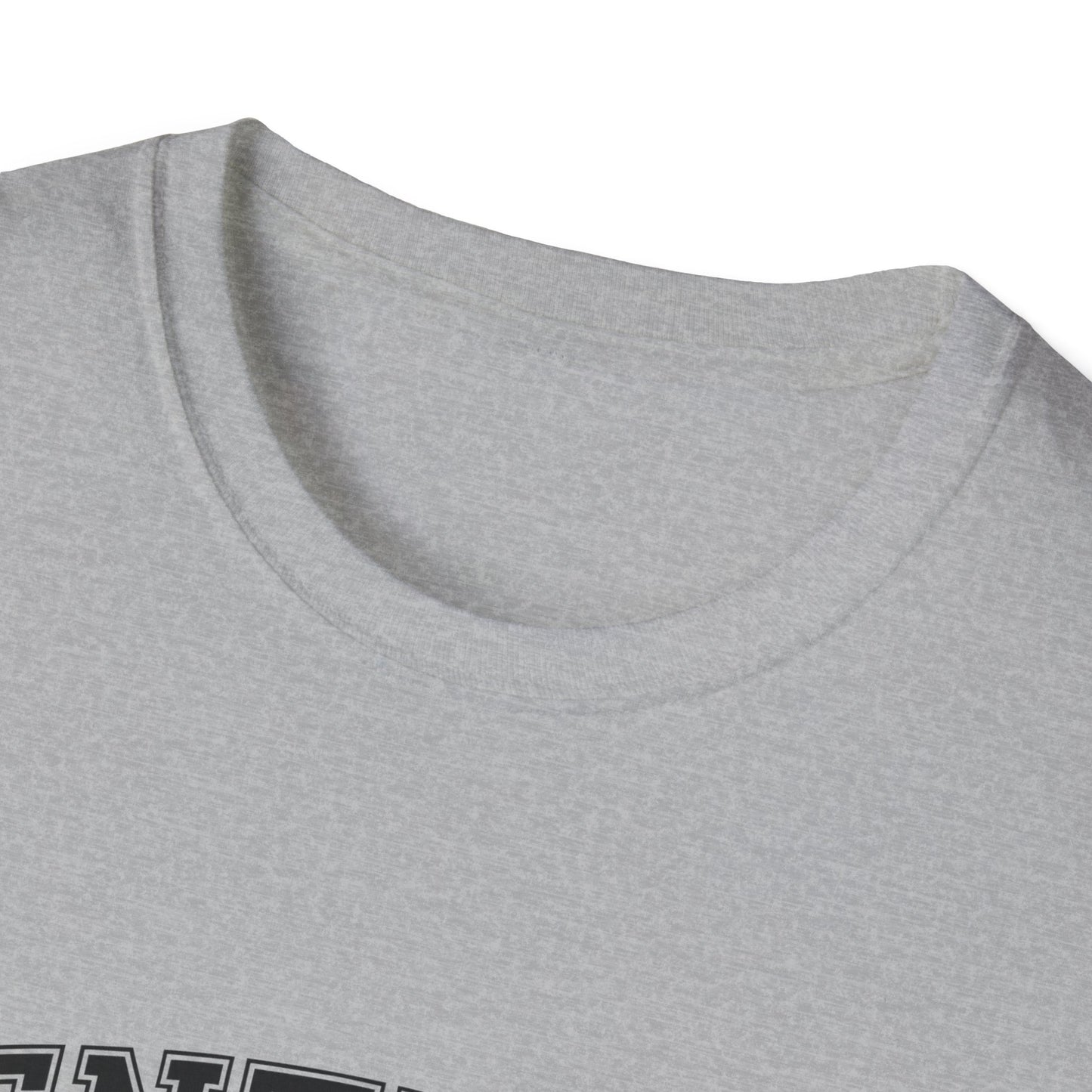 Kentucky Bluegrass State Unisex Softstyle T-Shirt, Casual Tee, Souvenir Apparel, Gift for Travelers, Vintage Graphic Tee