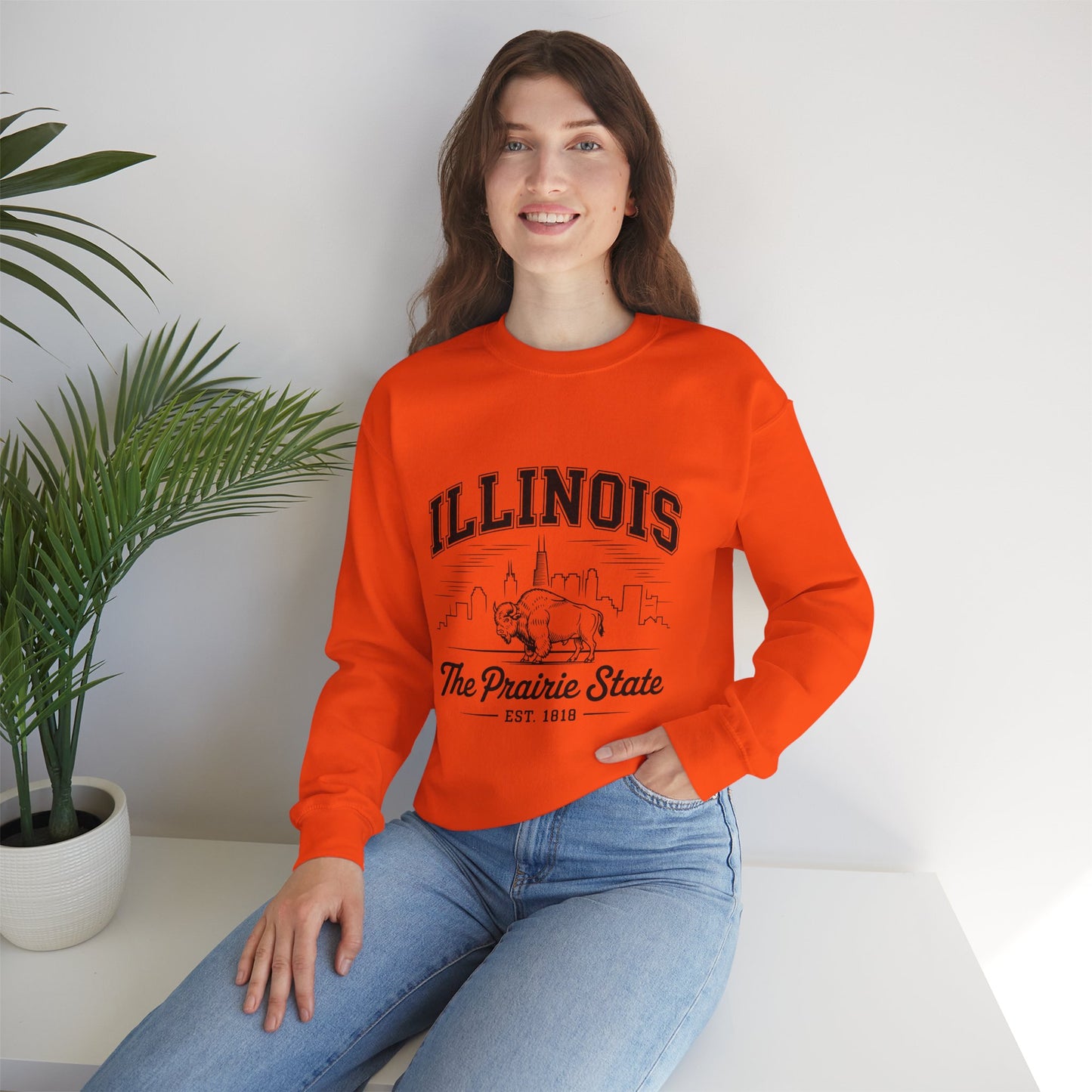 Illinois Crewneck Sweatshirt, Cozy Unisex Apparel, Prairie State Fashion, Gift for Illinois Lovers, Casual Everyday Wear