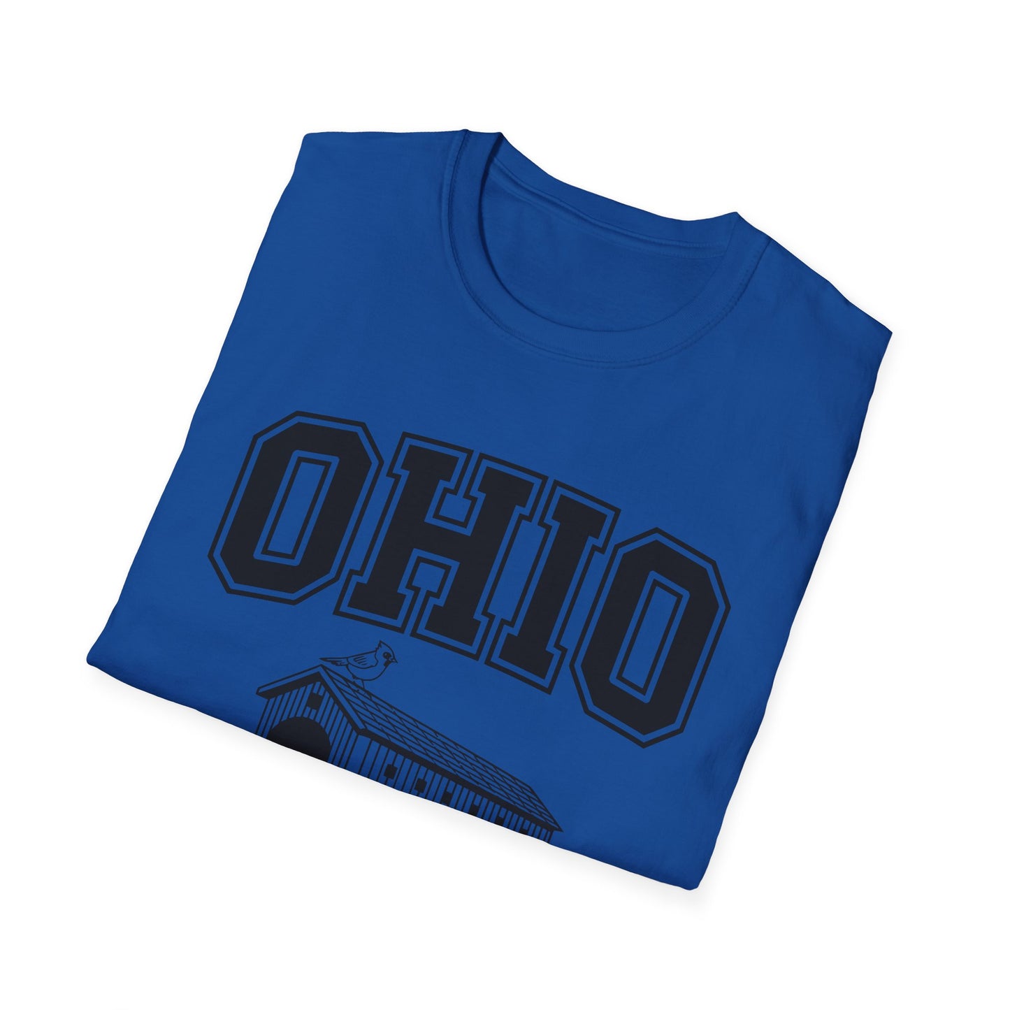Vintage Ohio T-Shirt, Buckeye State Tee, Unisex Graphic Shirt, Ohio Pride Apparel, Gift for Ohioans