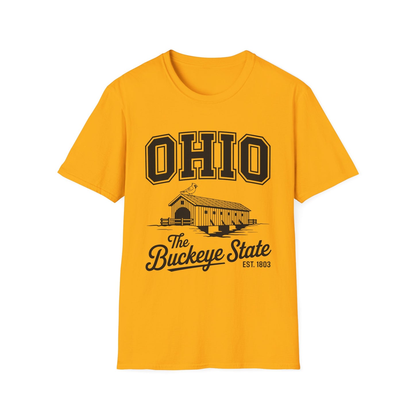 Vintage Ohio T-Shirt, Buckeye State Tee, Unisex Graphic Shirt, Ohio Pride Apparel, Gift for Ohioans