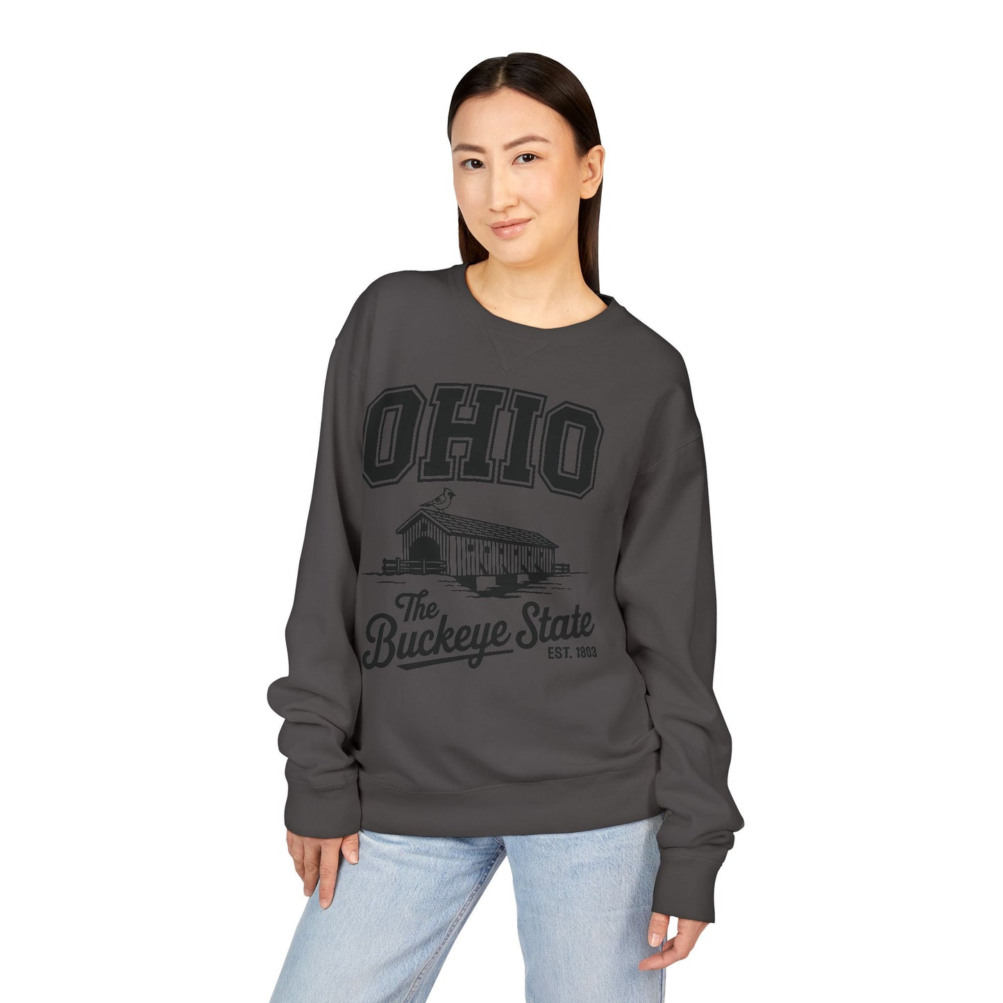 Ohio Buckeye State Vintage Sweatshirt, Unisex Crewneck for Casual Wear, Perfect Gift for Ohio Lovers, Ohio State Pride, Cozy Fall Apparel