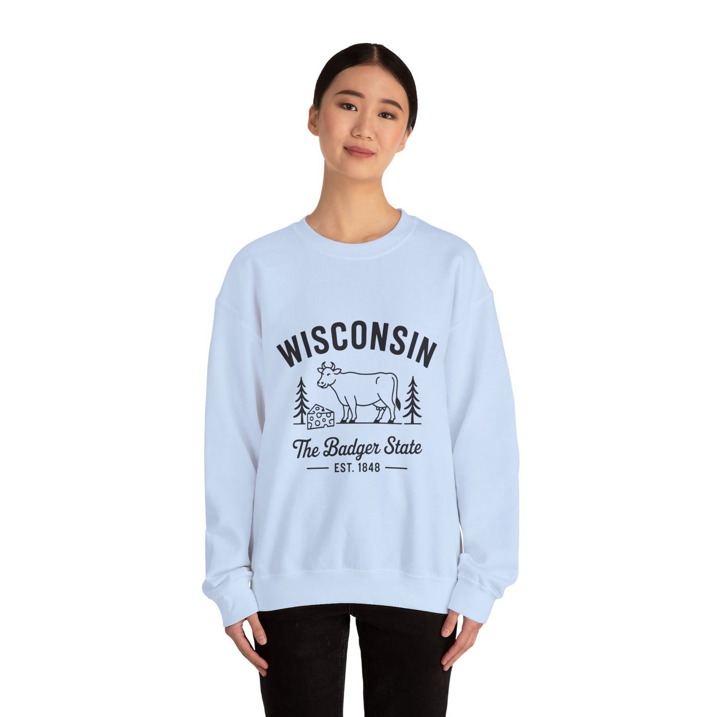 Wisconsin Badger State Sweatshirt, Unisex Crewneck, Cozy Gift for State Pride, Travel Souvenir, Homewear