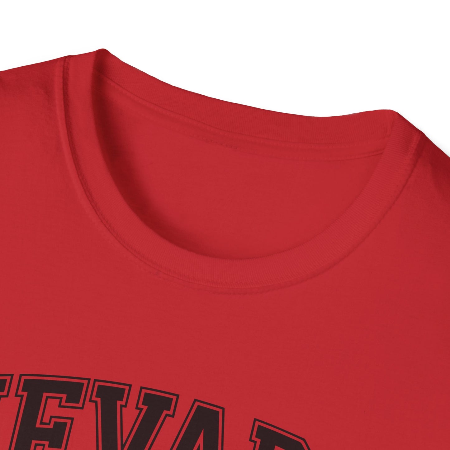 Nevada Vintage Graphic T-Shirt, Unisex Cool Tee, Casual Wear, Travel Souvenir, Gift for Nevada Lovers, Summer Style