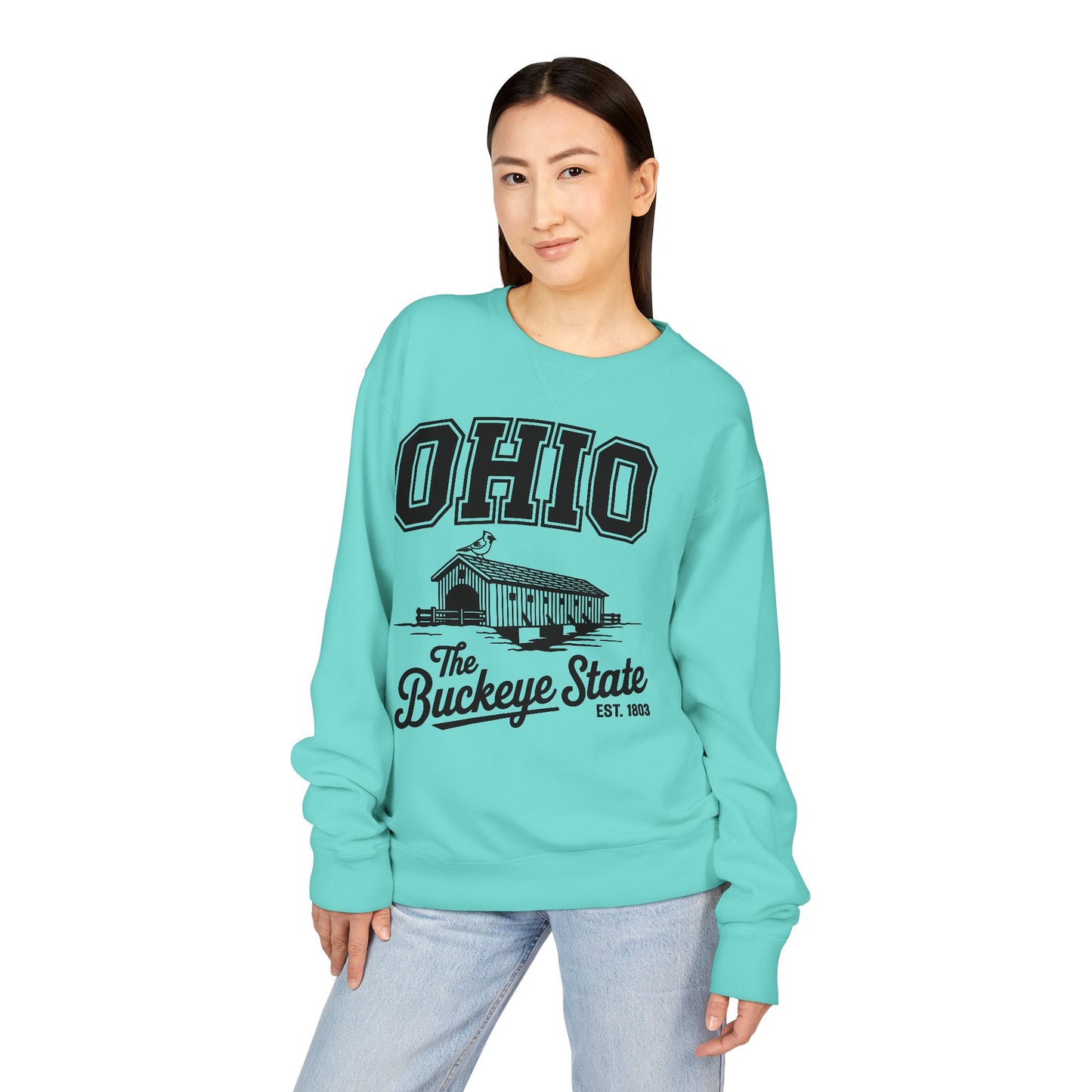 Ohio Buckeye State Vintage Sweatshirt, Unisex Crewneck for Casual Wear, Perfect Gift for Ohio Lovers, Ohio State Pride, Cozy Fall Apparel