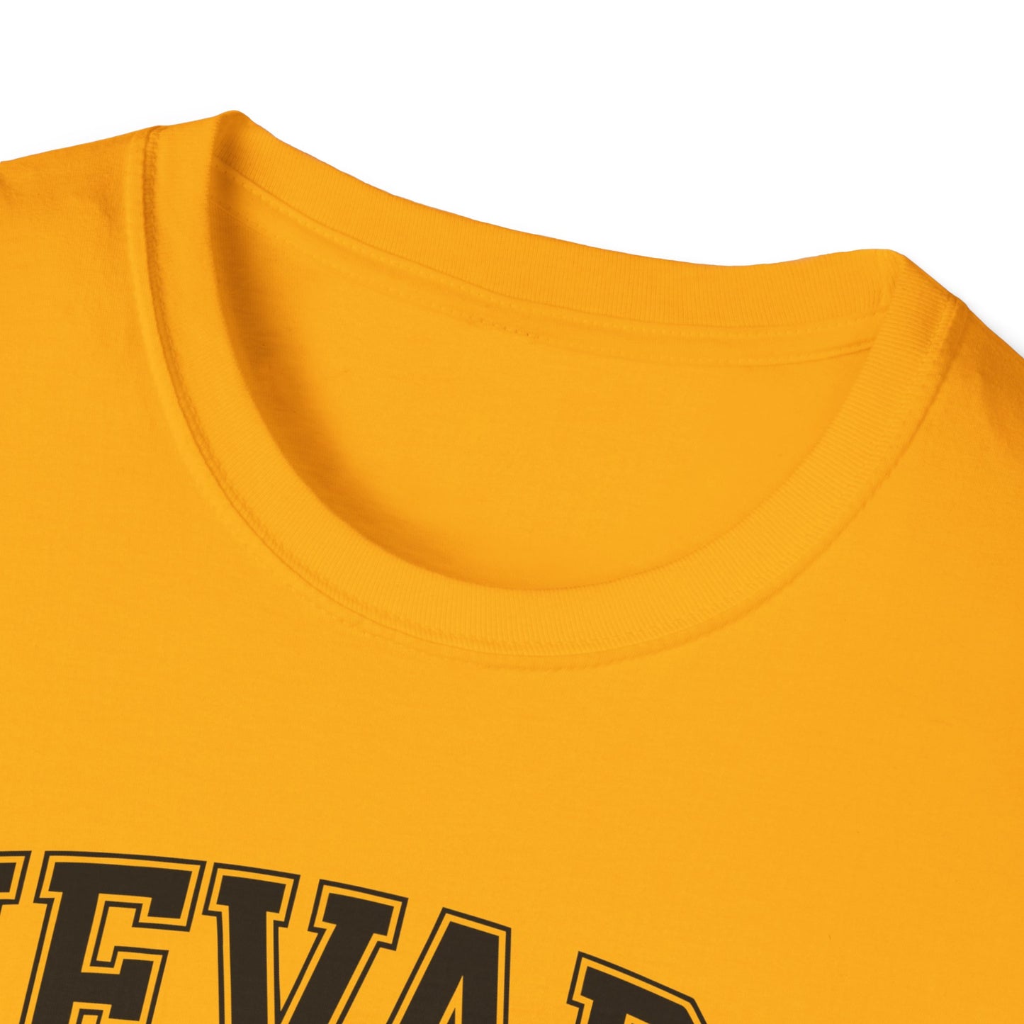 Nevada Vintage Graphic T-Shirt, Unisex Cool Tee, Casual Wear, Travel Souvenir, Gift for Nevada Lovers, Summer Style
