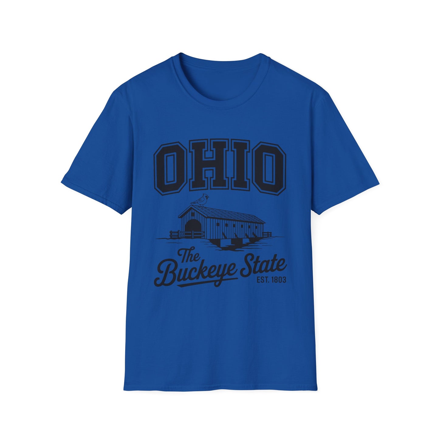 Vintage Ohio T-Shirt, Buckeye State Tee, Unisex Graphic Shirt, Ohio Pride Apparel, Gift for Ohioans