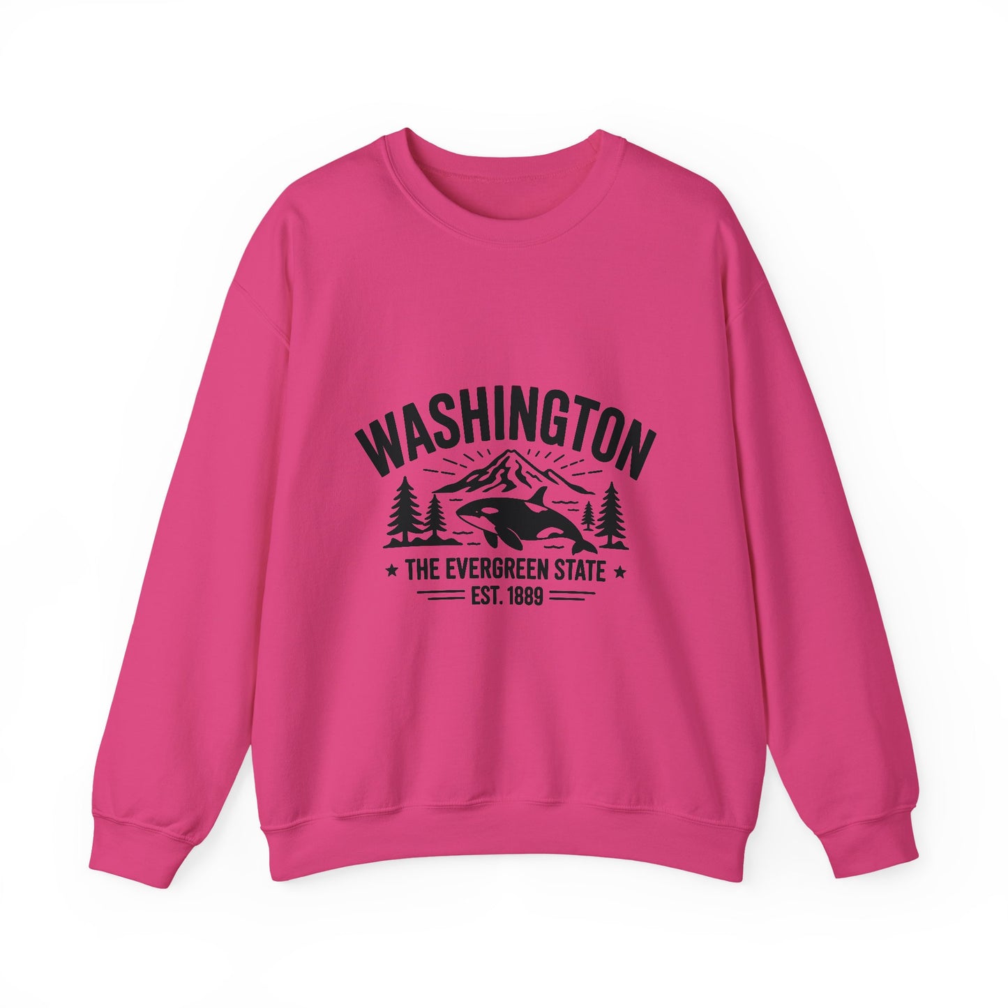 Washington Evergreen State Sweatshirt, Cozy Unisex Crewneck, Perfect for Travel, Nature Lovers, Gift Idea for Holidays