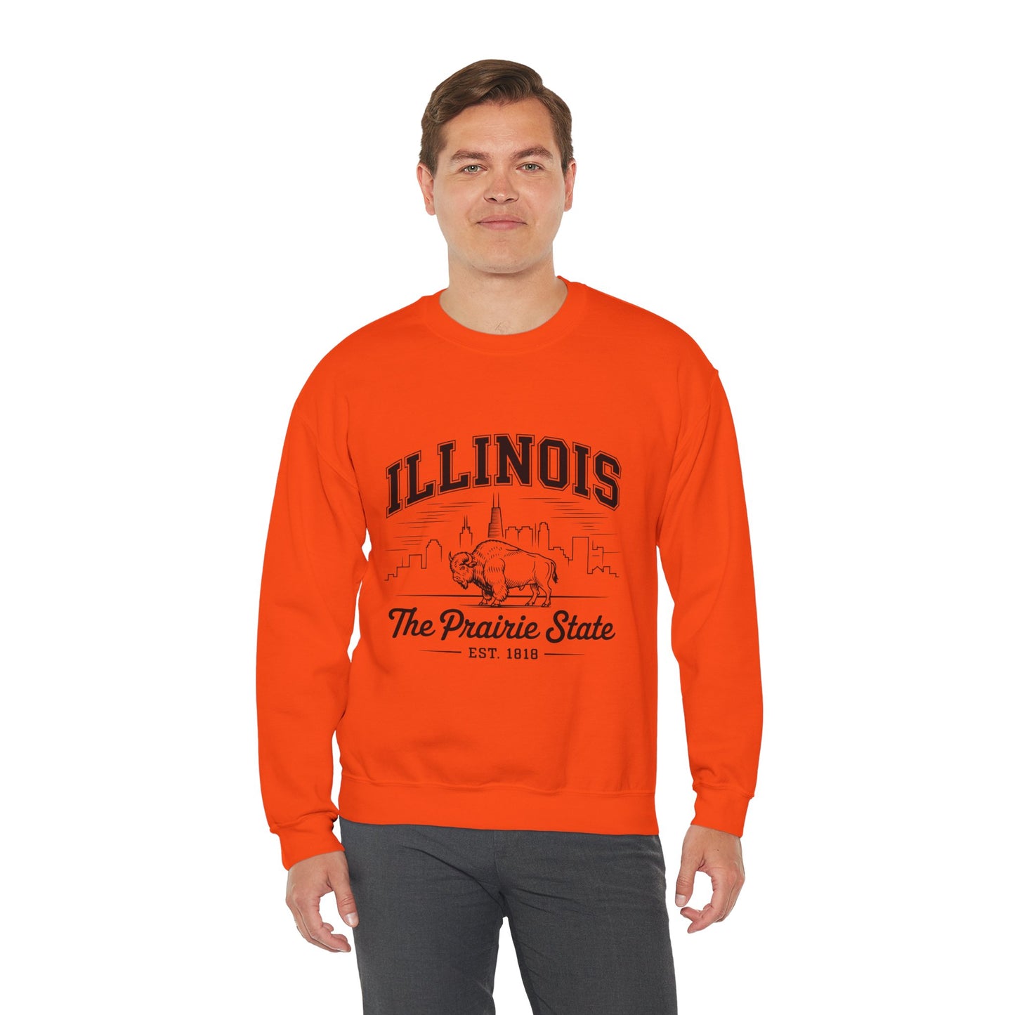 Illinois Crewneck Sweatshirt, Cozy Unisex Apparel, Prairie State Fashion, Gift for Illinois Lovers, Casual Everyday Wear