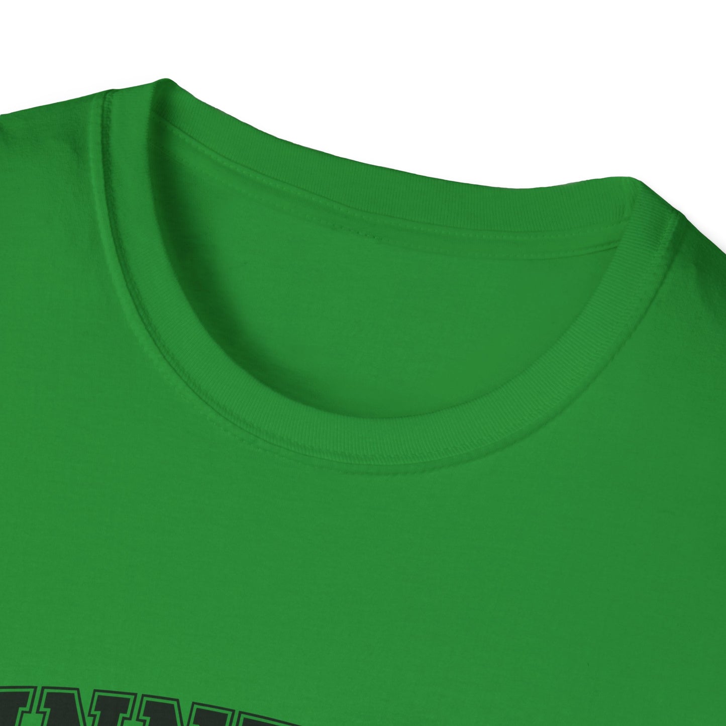 Minnesota Vintage Lake T-Shirt, Softstyle Tee, Cool Gift for Outdoor Lovers, Summer Apparel, Nature Enthusiast Wear