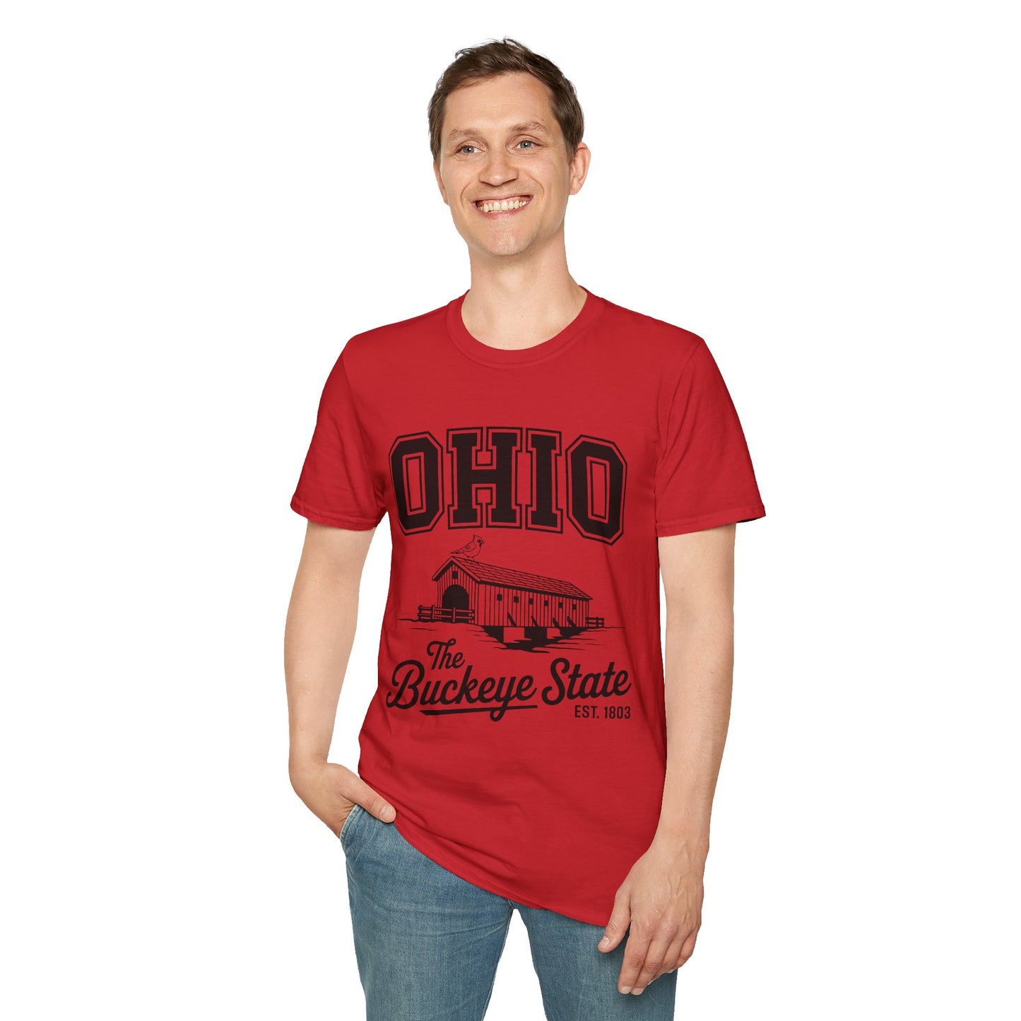 Vintage Ohio T-Shirt, Buckeye State Tee, Unisex Graphic Shirt, Ohio Pride Apparel, Gift for Ohioans