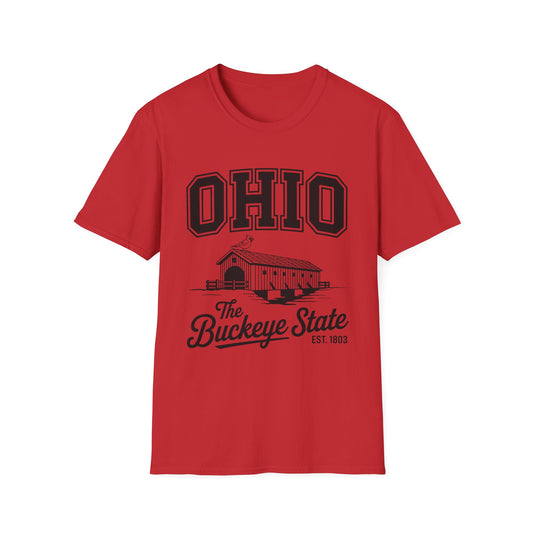 Vintage Ohio T-Shirt, Buckeye State Tee, Unisex Graphic Shirt, Ohio Pride Apparel, Gift for Ohioans